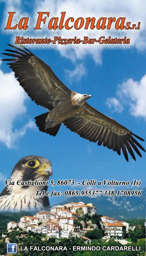 Banner-Falconara-web