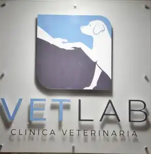 vetlab-tre-interno