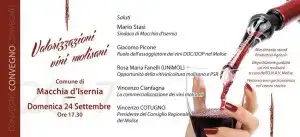 vino-interno-web