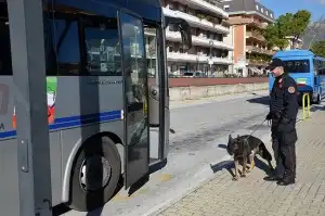 controlli terminal bus