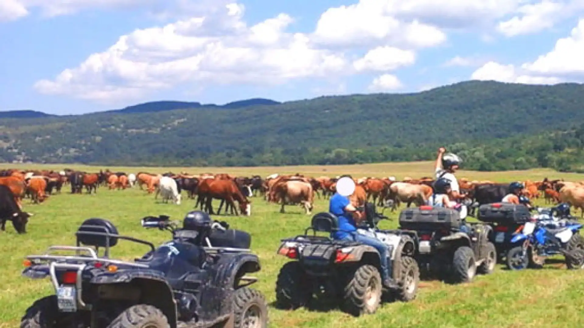 Filignano: a bordo del suo quad si scontra con un cavallo. Pauroso incidente per un giovane 27enne.