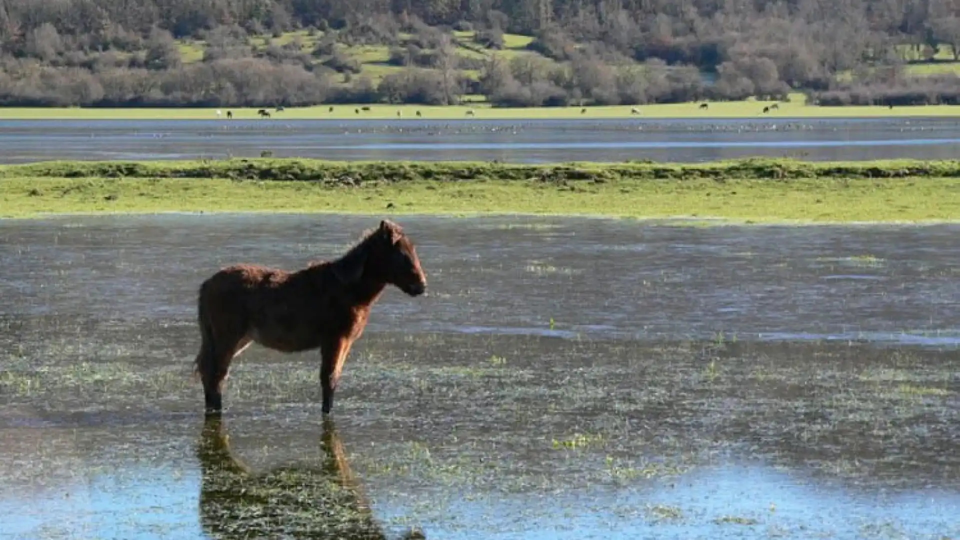 Montenero Val Cocchiara: il pantano in onda su “Geo & Geo”. La zona naturalistica pregiata alla ribalta nazionale.