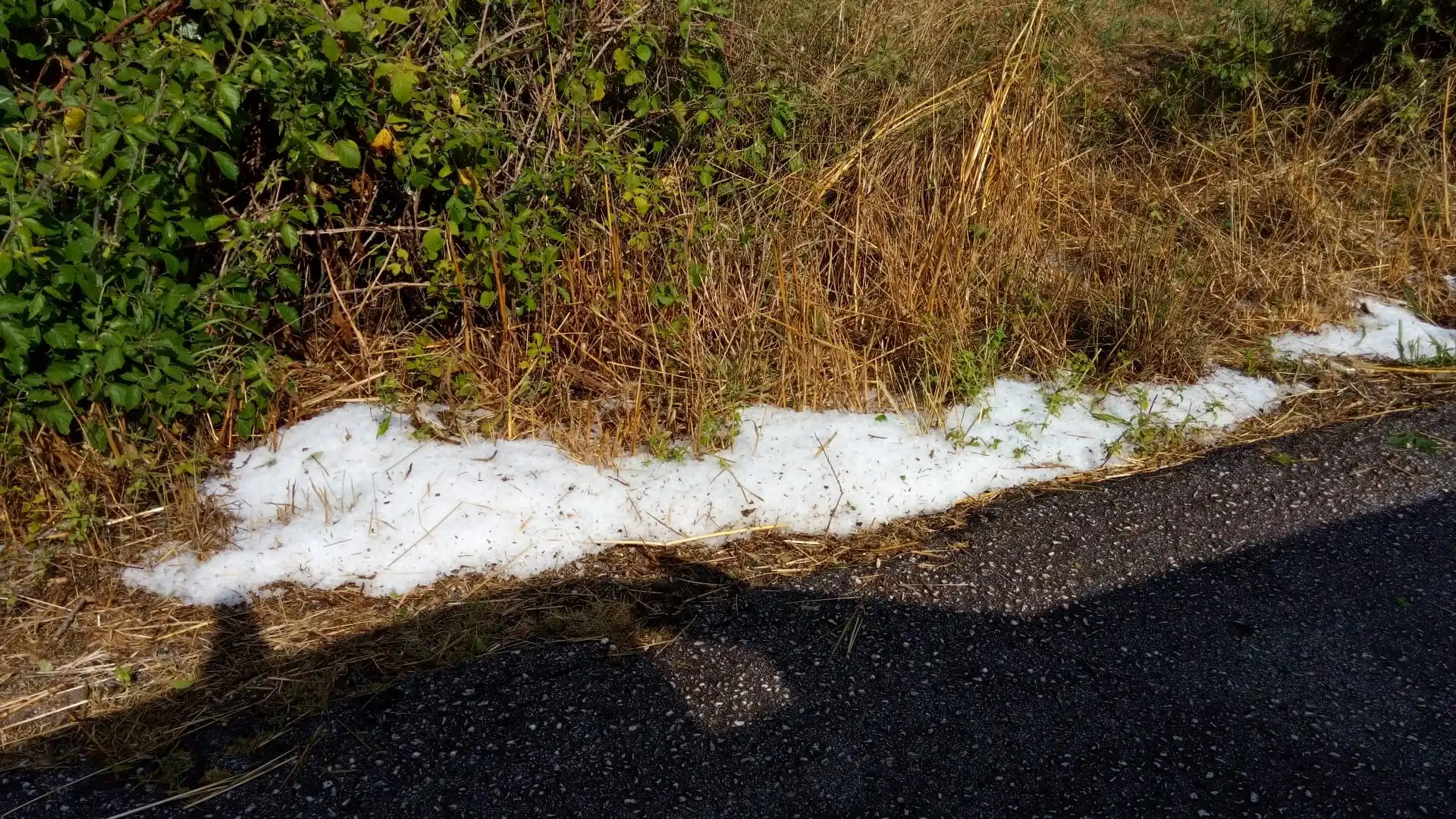 Forti temporali e grandine in provincia di Isernia nel pomeriggio. Molte colture sono state letteralmente devastate.