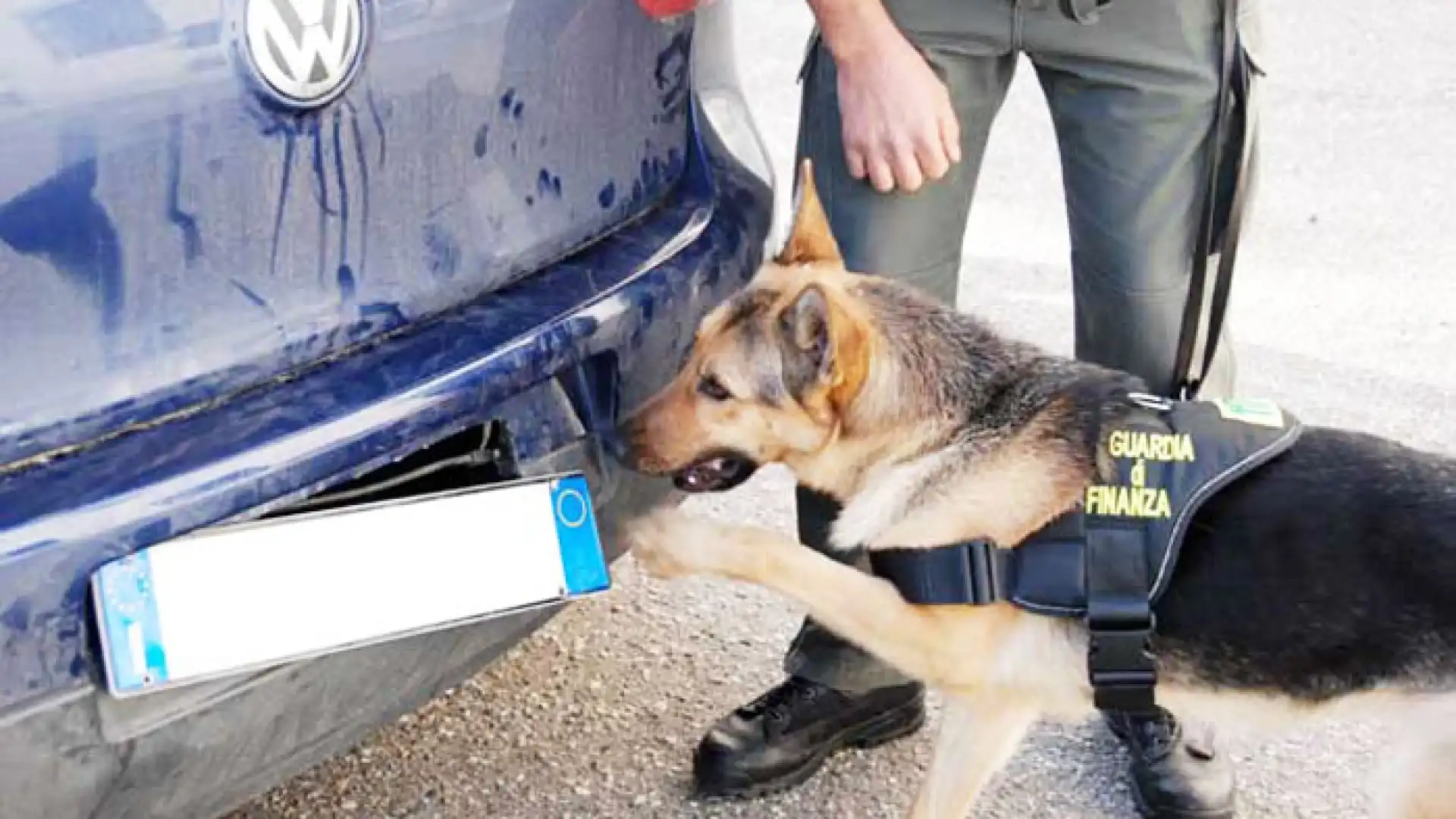 Montaquila: la Guardia di Finanza sequestra 70 grammi di sostanze stupefacenti ad un automobilista di Pescara.