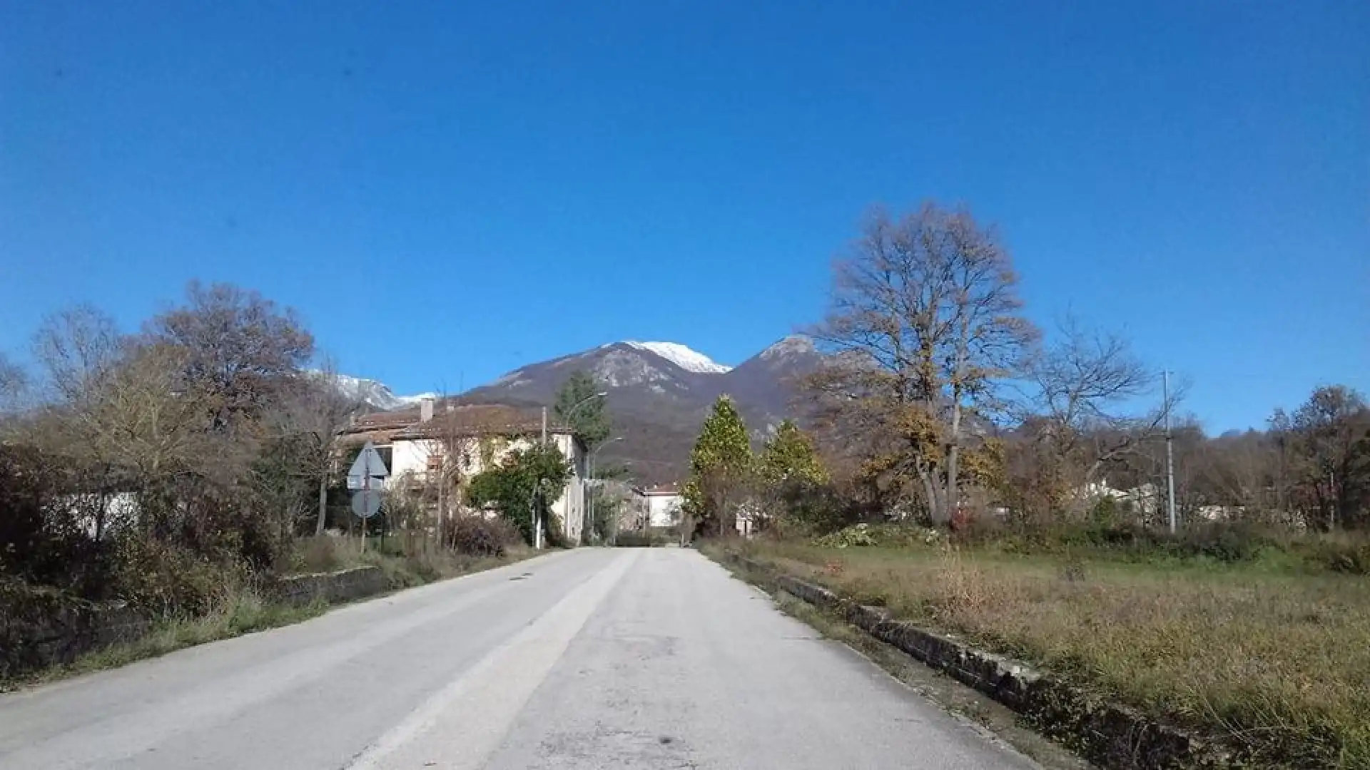 Tagli non autorizzati di legna nel territorio del Dominio Collettivo ex Feudo Marotta di Cerasuolo. La nota stampa per fare chiarezza