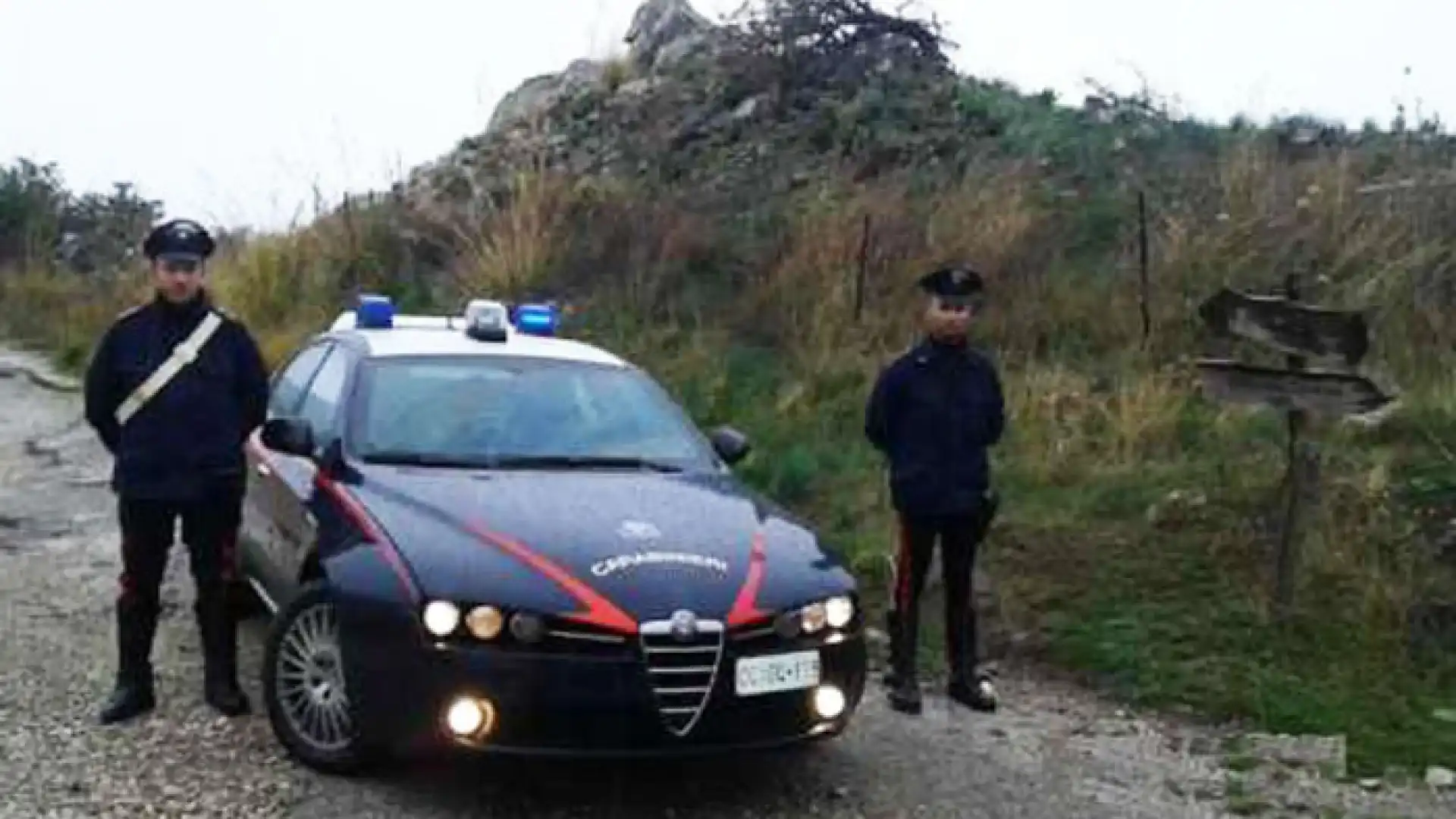 Gallo Matese: tragedia nei boschi. 52enne perde la vita schiacciato da un grosso albero.