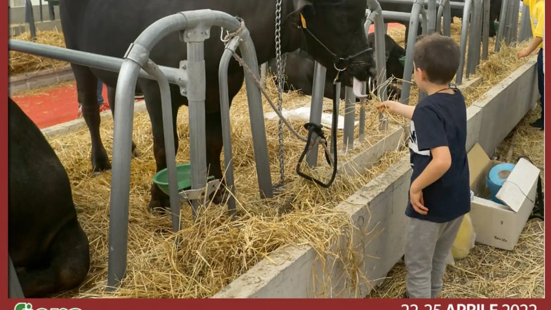 Al Polo Fieristico A1Expò, torna Fiera Agricola. Mercoledì la conferenza stampa di presentazione