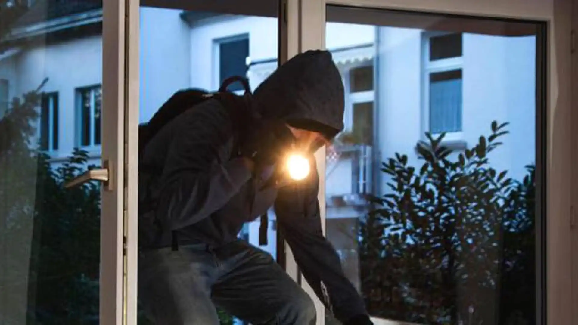 Ladri in azione nella Valle del Volturno. Due tentativi d'ingresso in villa sventati da cani da guardia.