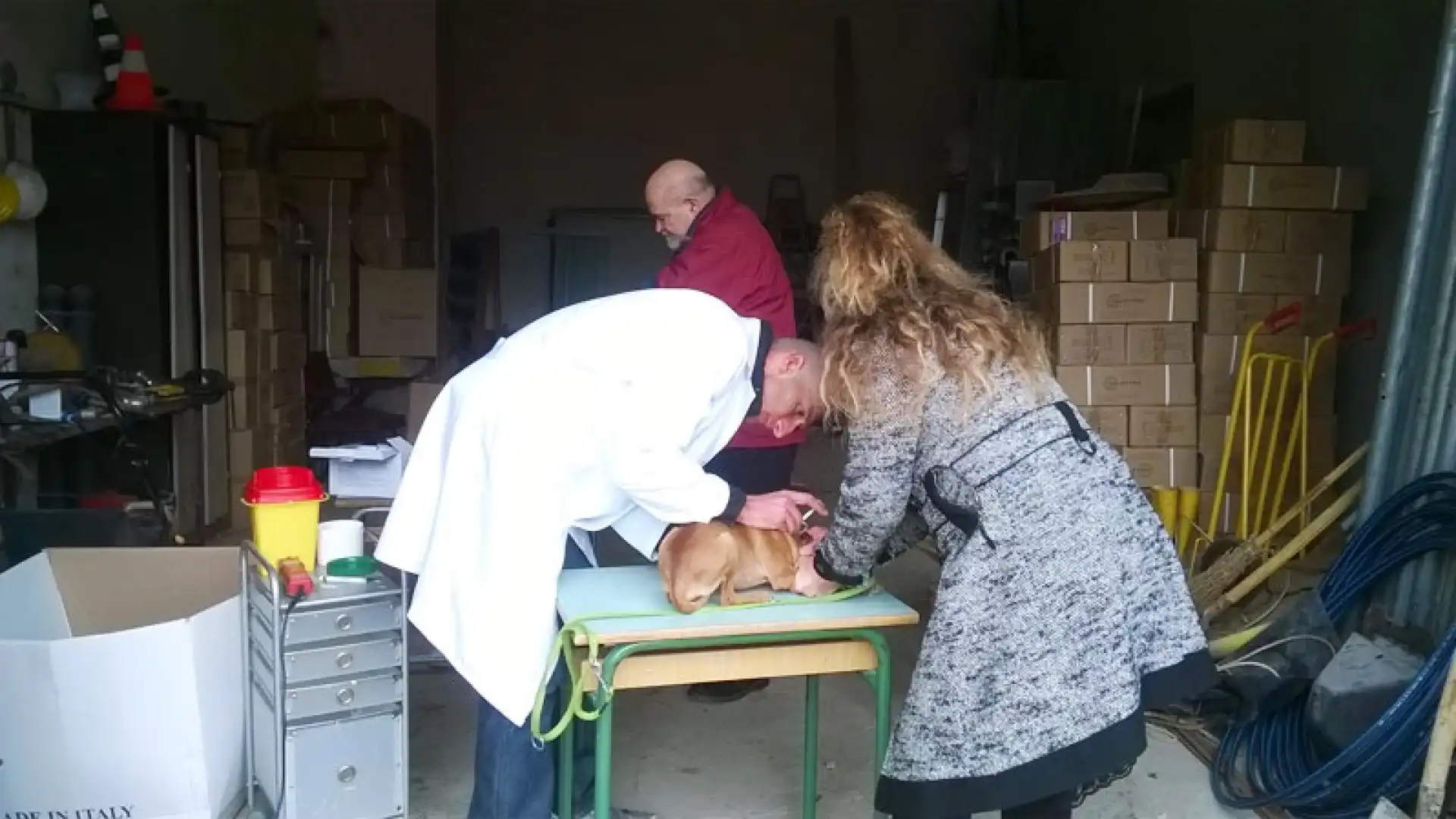 Pizzone: “Fido uno di Noi”. Microchip ed iscrizione gratuita all’anagrafe canina per gli amici a quattro zampe.