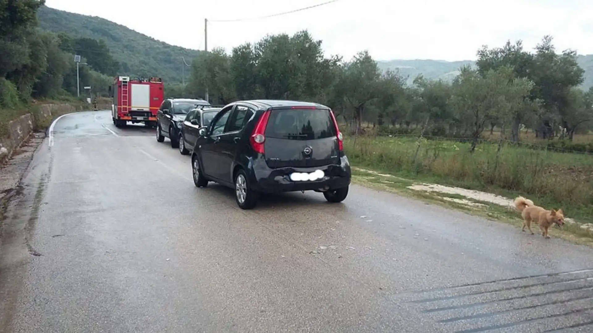 Venafro: urto tra due autovetture causato dalla pioggia. L'incidente su Via Berta.