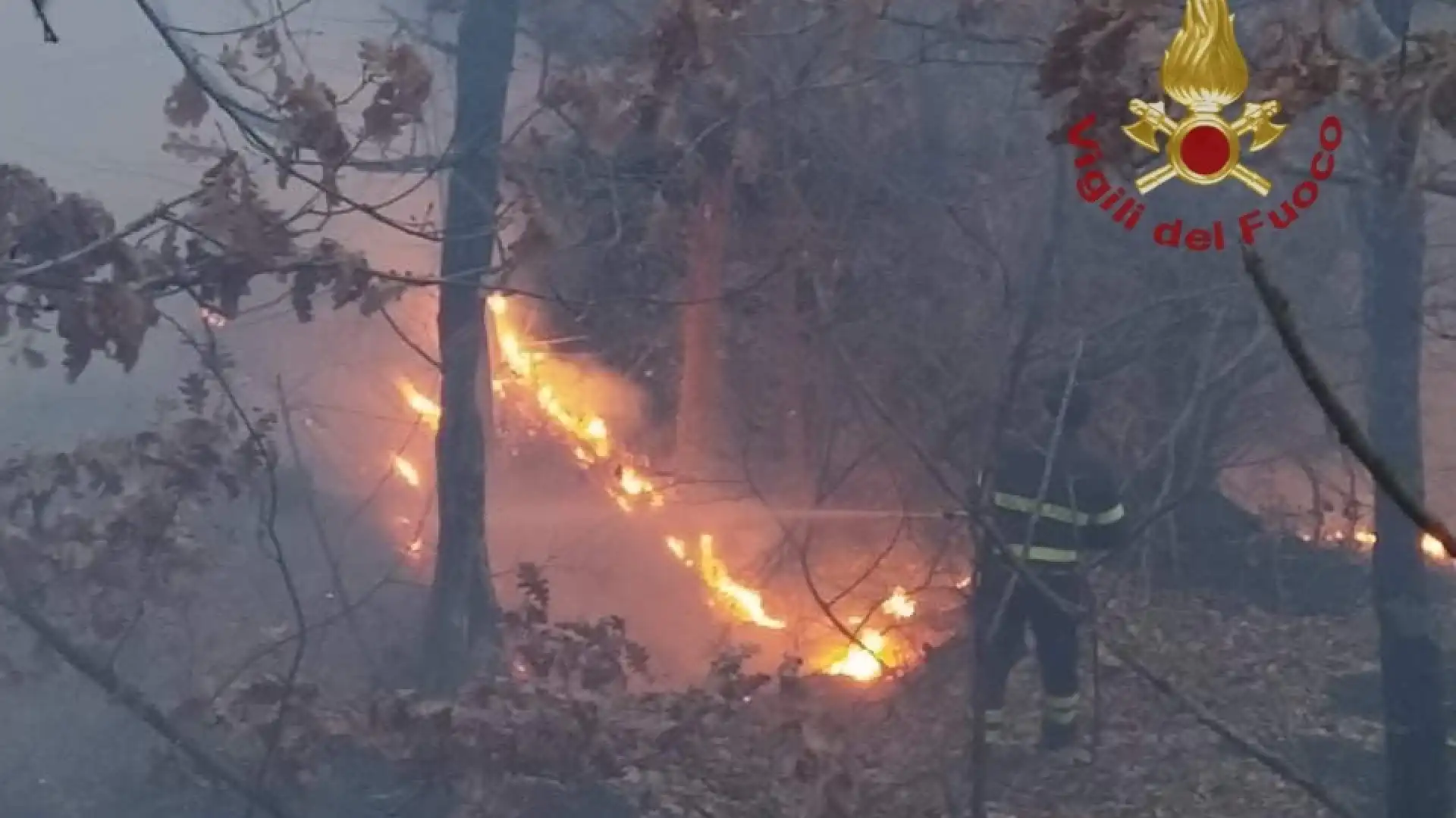 Macchiagodena: Vigili del Fuoco in azione, a fuoco bosco e macchia mediterranea