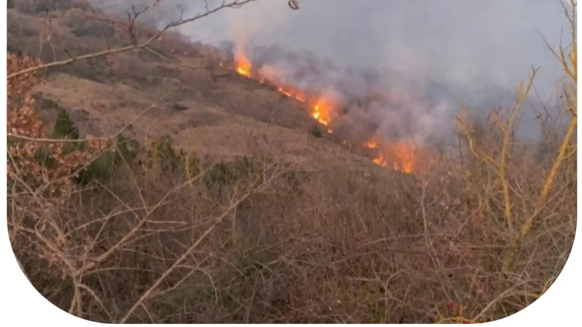 Vasto incendio a Fornelli nei pressi della'ex discarica. Vigili del fuoco e mezzo aerei ancora in azione