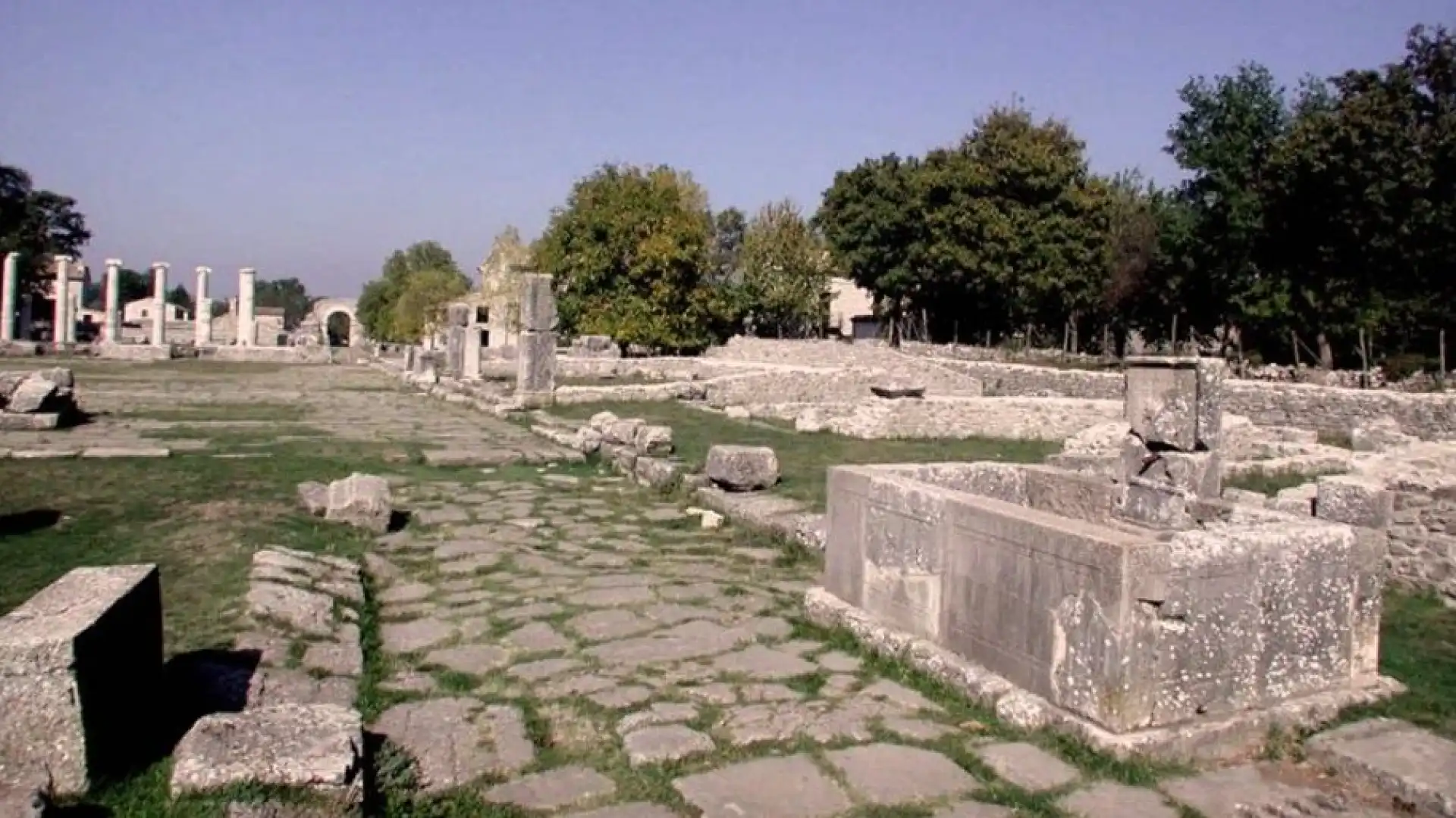 Enrico Rinaldi direttore del Parco Archeologico di Sepino, le felicitazioni della Federagit Molise.