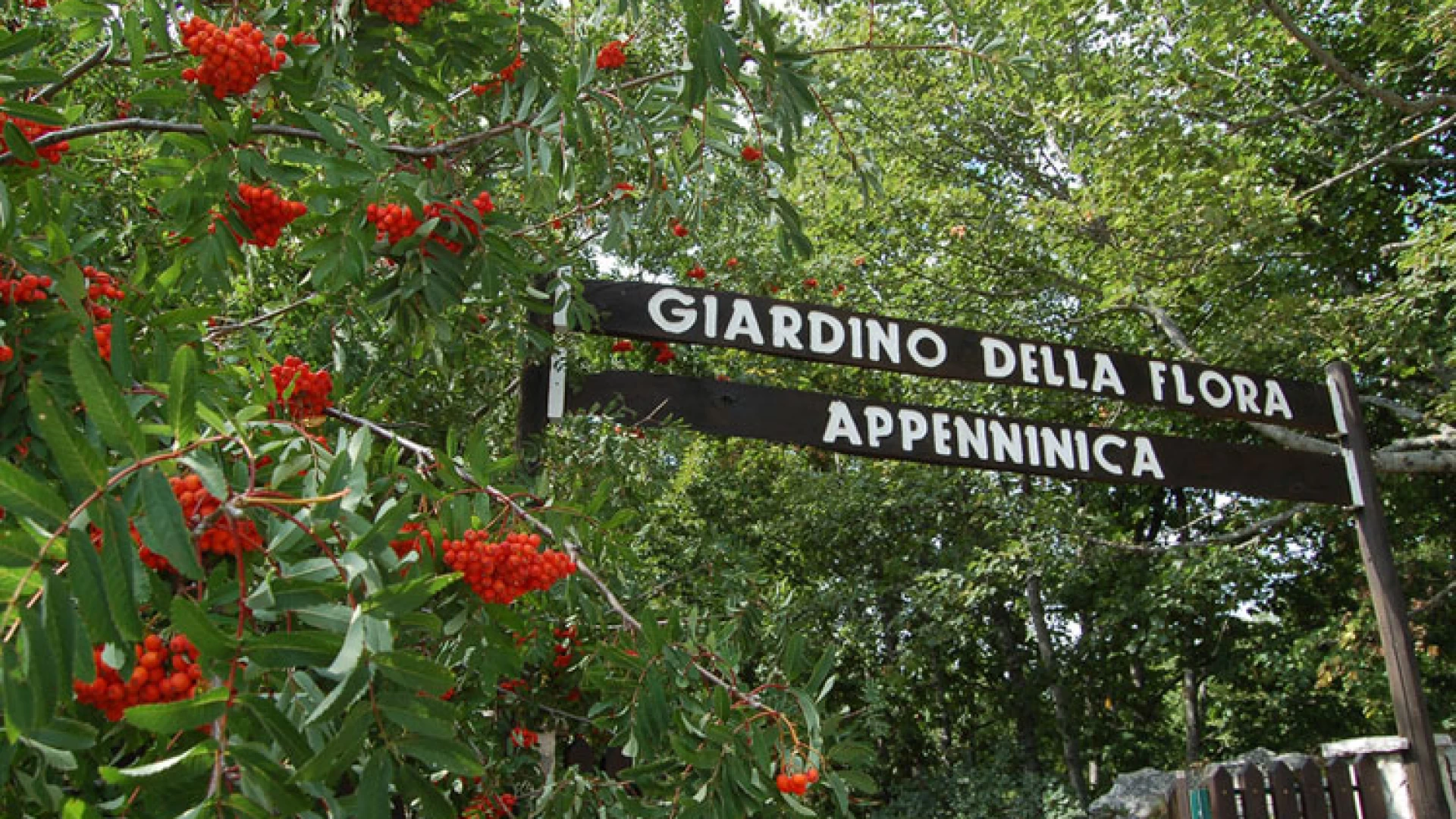 A Capracotta inaugurazione del Percorso dei Sensi presso il Giardino della Flora Appenninica.