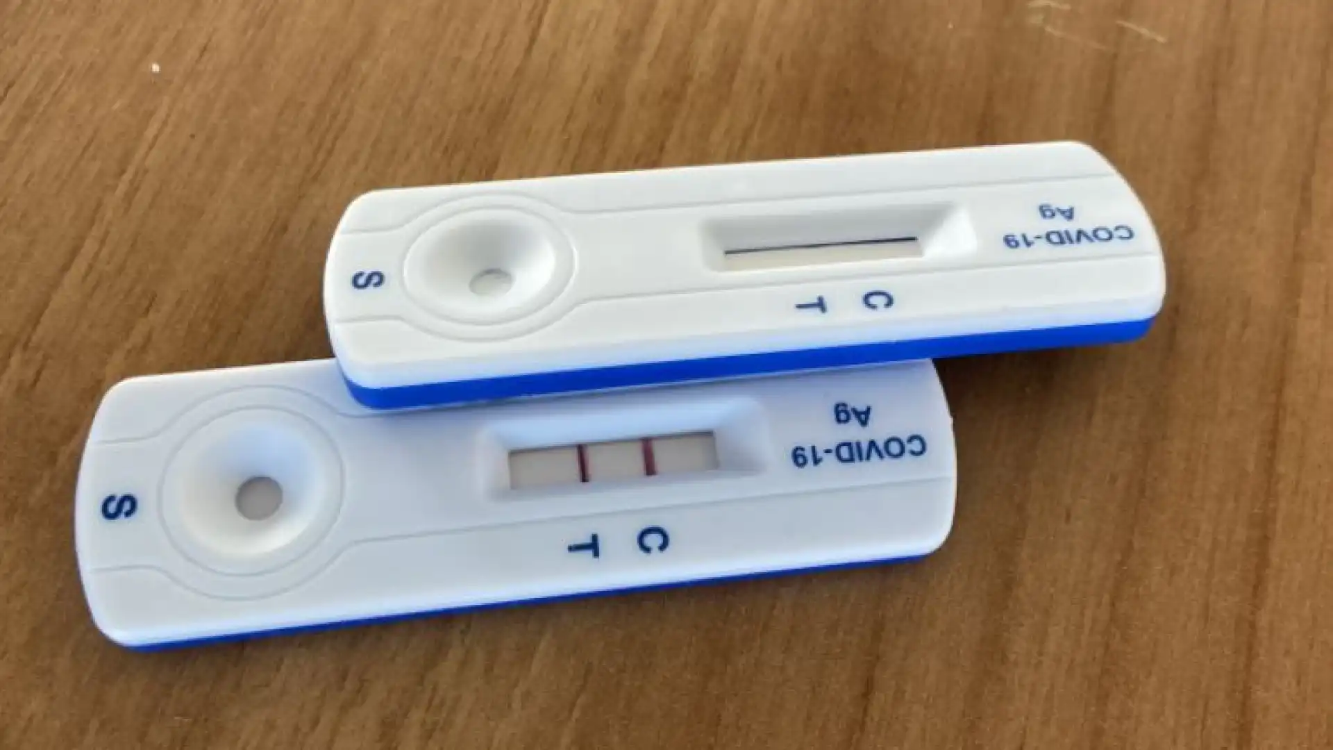 Termoli: screening sugli studenti, su 1100 tamponi solo 18 positivi. Domani tutti a scuola