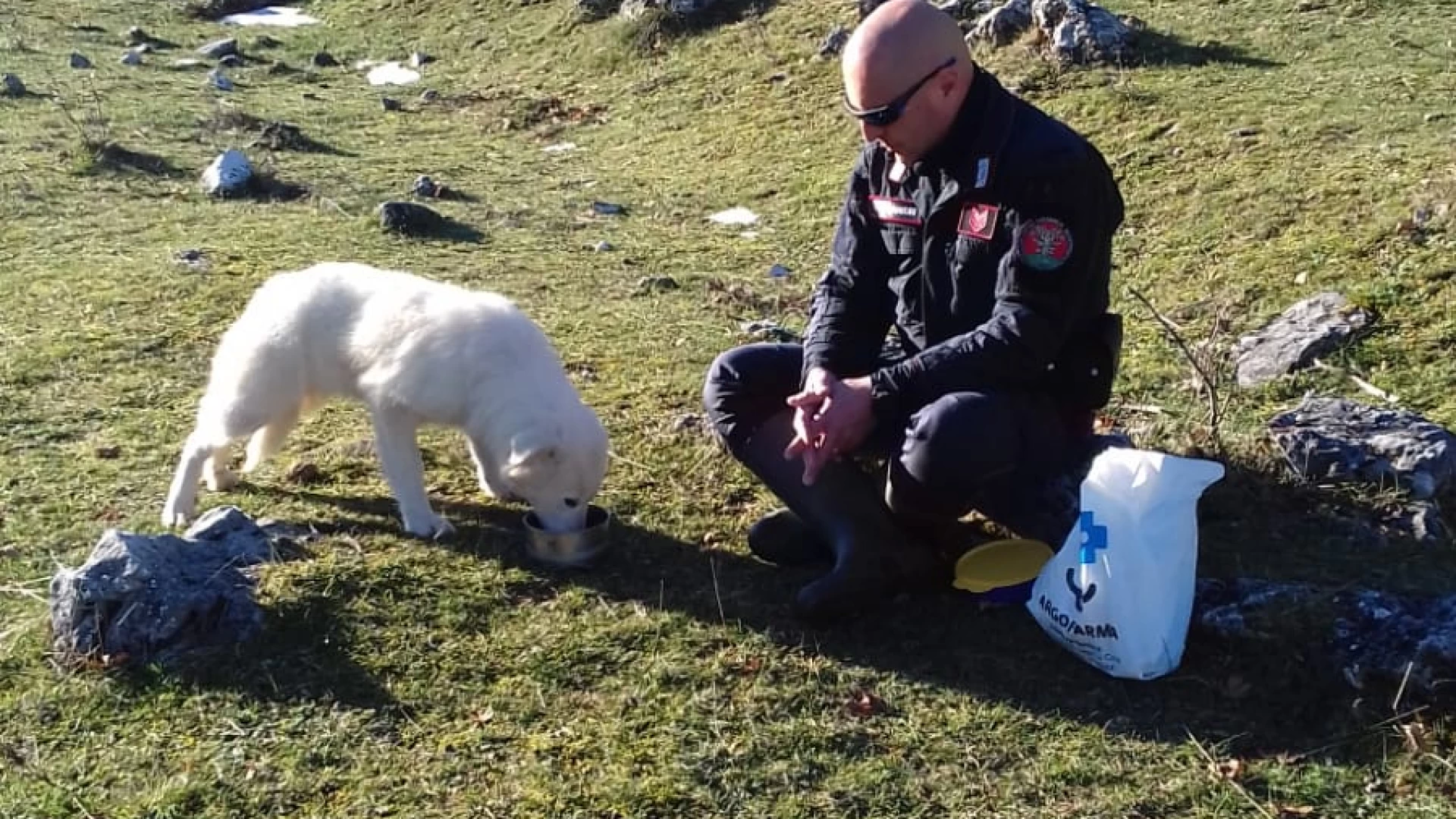 Abbandono animali, una storia a lieto fine grazie ai Carabinieri Forestali