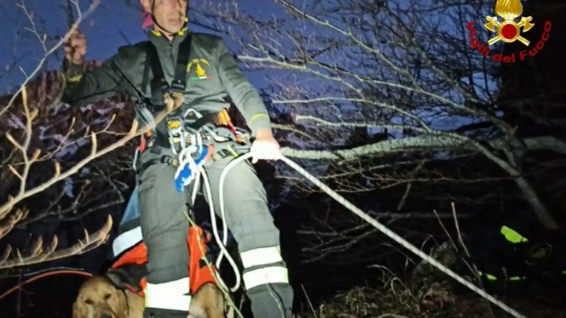 Roccamandolfi: i Vigili del Fuoco salvano cane scivolato in un dirupo sul Matese.