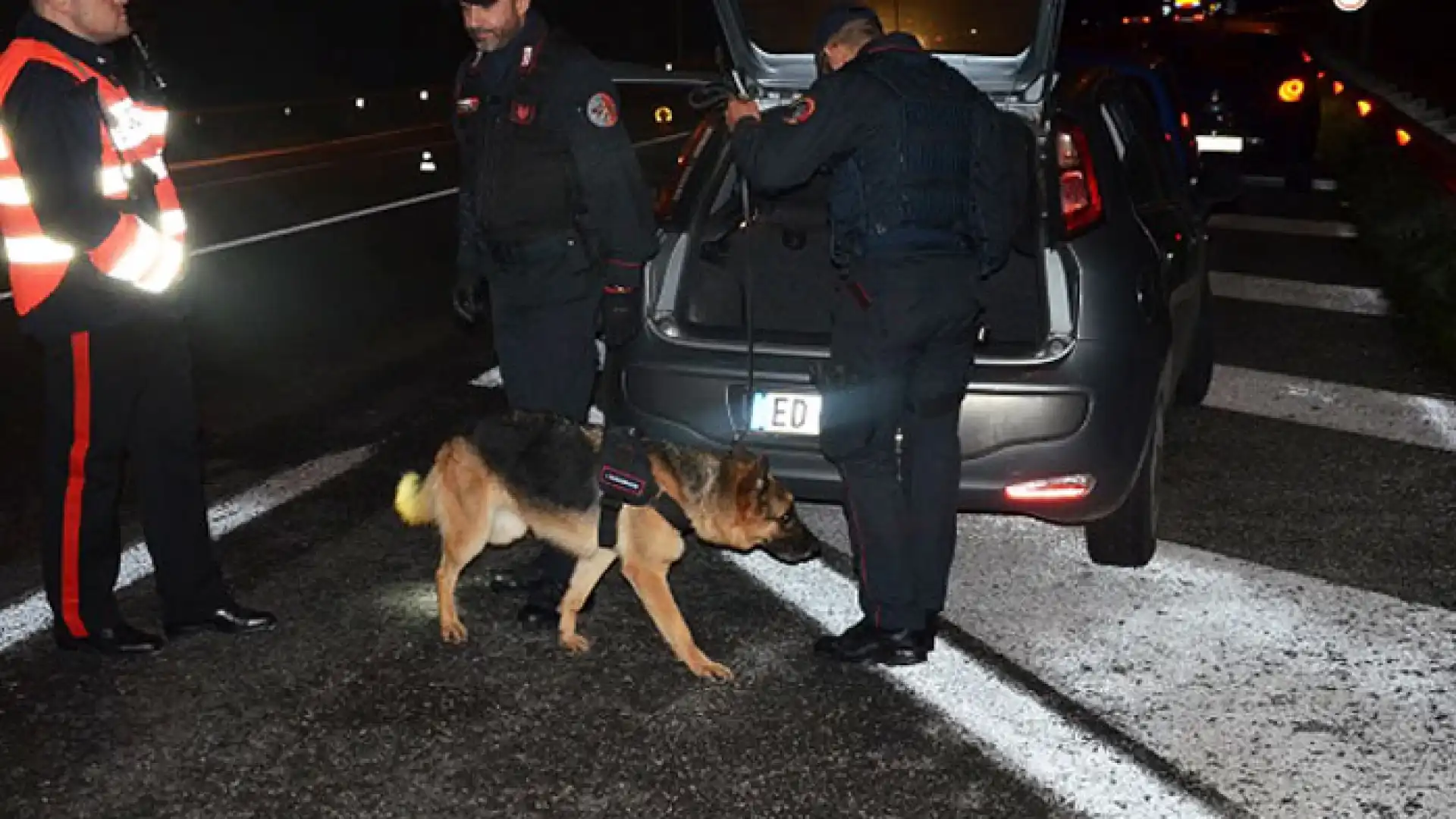 Isernia: Carabinieri in azione durante il week-end, controlli straordinari  in tutta la provincia, eseguite numerose perquisizioni. Impiegate anche unità Cinofile antidroga.