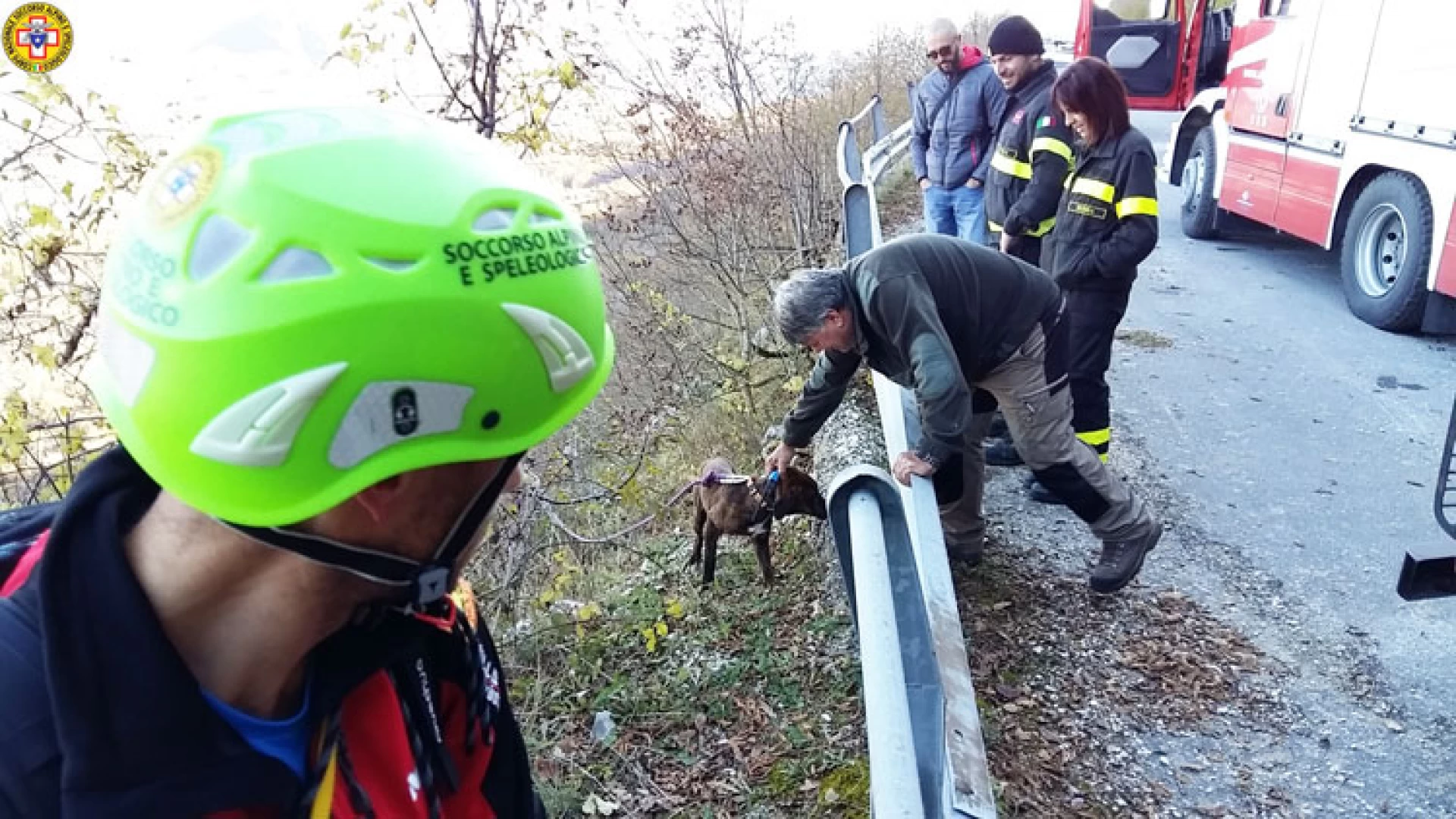 Castel San Vincenzo: il soccorso alpino recupera un cane da caccia caduto in un dirupo nei pressi dell’eremo di San Michele.