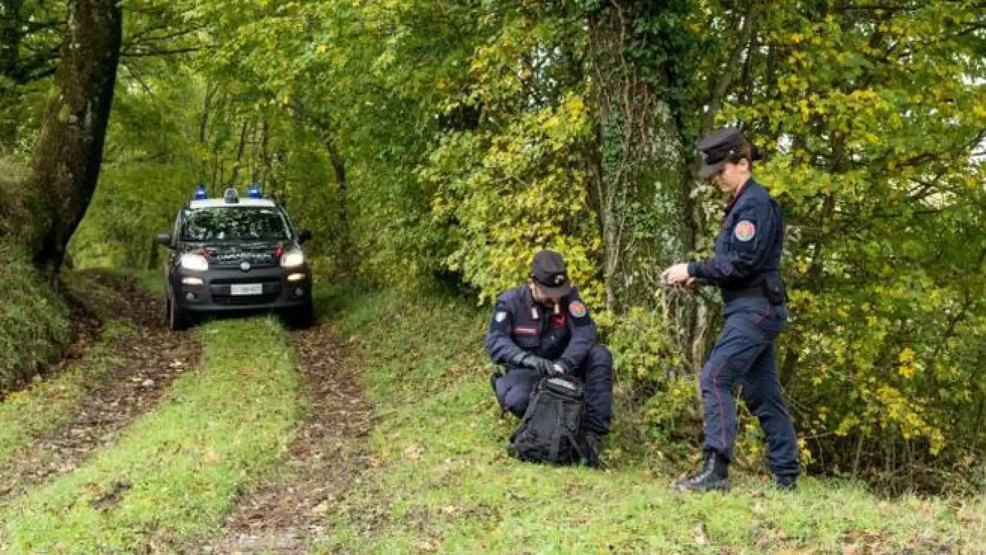 Cane da caccia con collare elettronico. Denunciato cacciatore di Rionero Sannitico dai Carabinieri Forestali