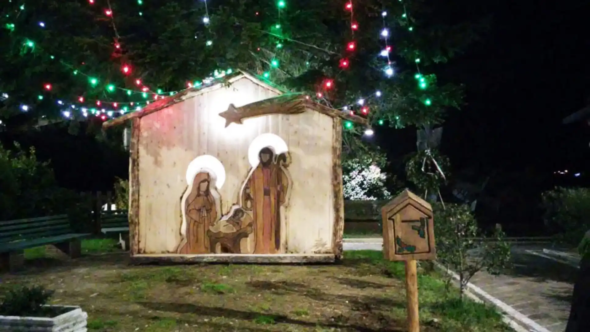 Colli a Volturno: si accende l’albero della vita in piazza. Domenica 11 dicembre la cerimonia alla presenza di tutti i medici originari del paese.