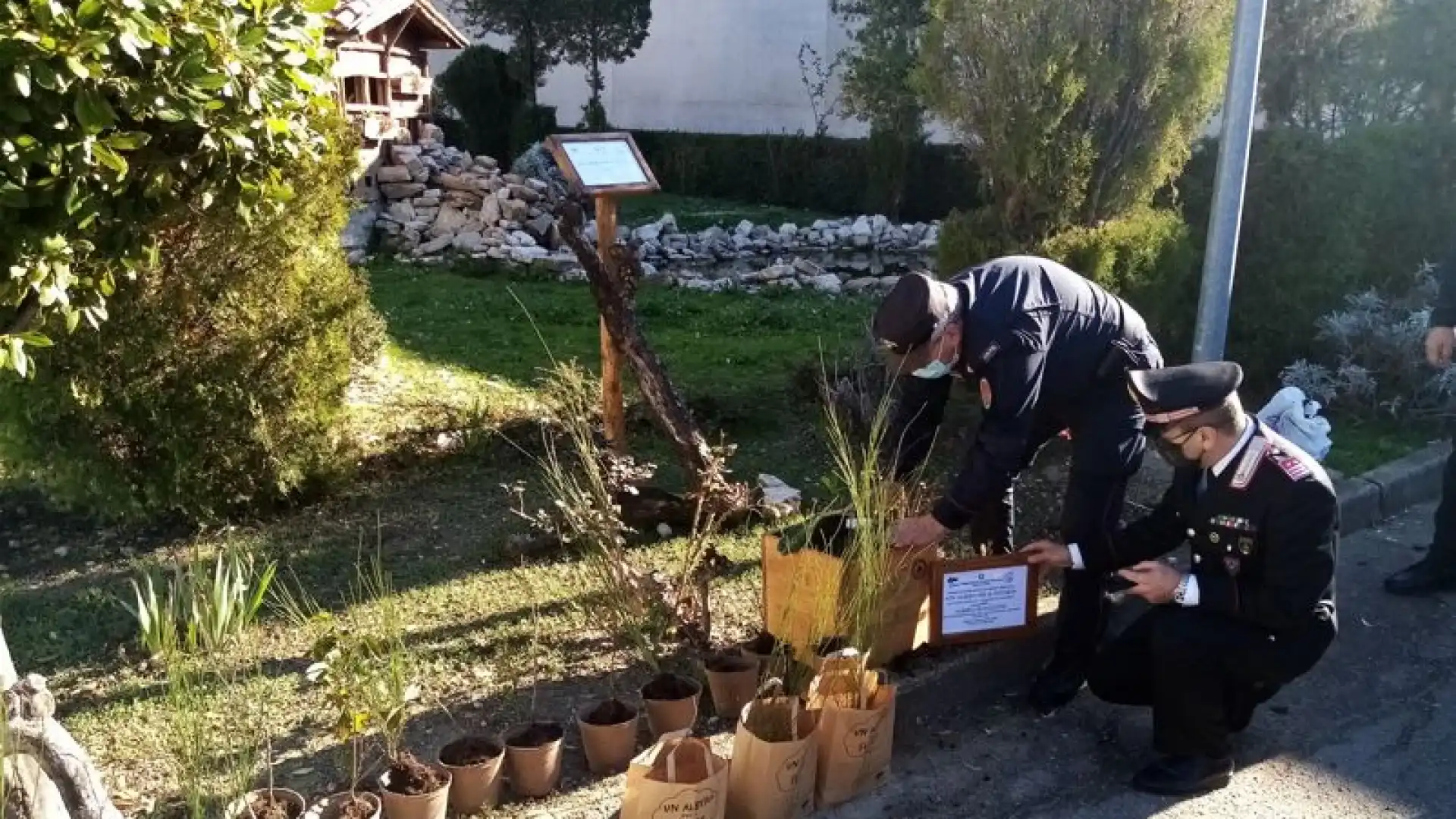 Biodiversità ed integrazione, i Carabinieri di Isernia donano L'Albero Di Falcone al reparto carcerario dell'Istituto Agrario San Pardo di Larino