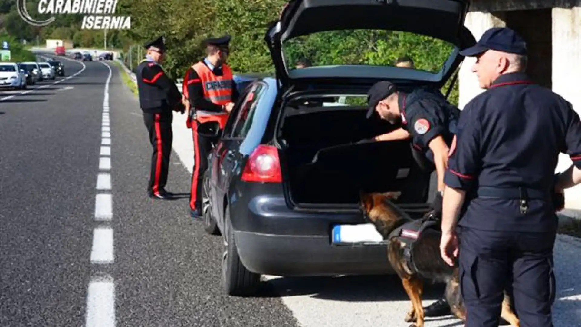 Isernia: Alcool e droga, controlli straordinari dei Carabinieri, scattano denunce, sequestri e misure di prevenzione.