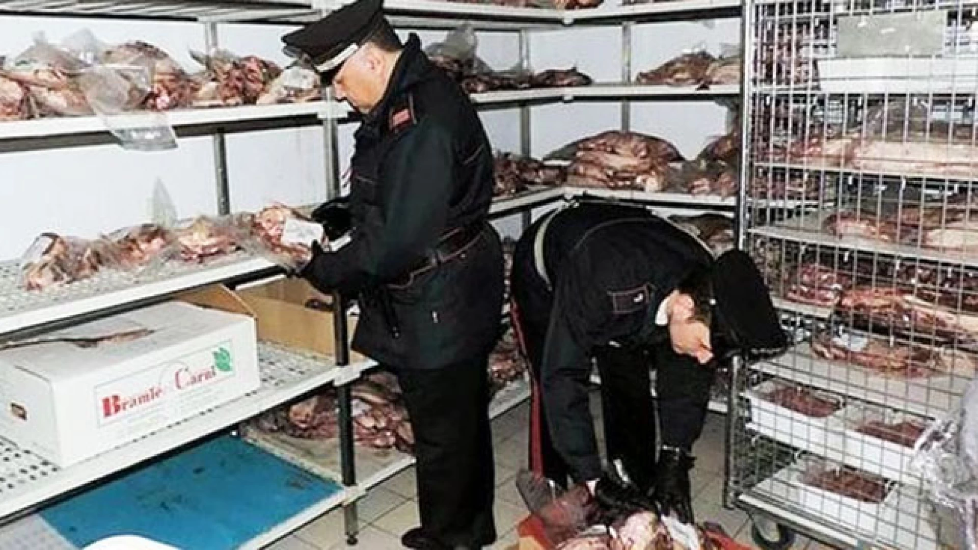 Isernia: Salute dei cittadini, scattano i controlli dei Carabinieri, sotto sequestro circa mezzo quintale di carne in pessimo stato di conservazione.