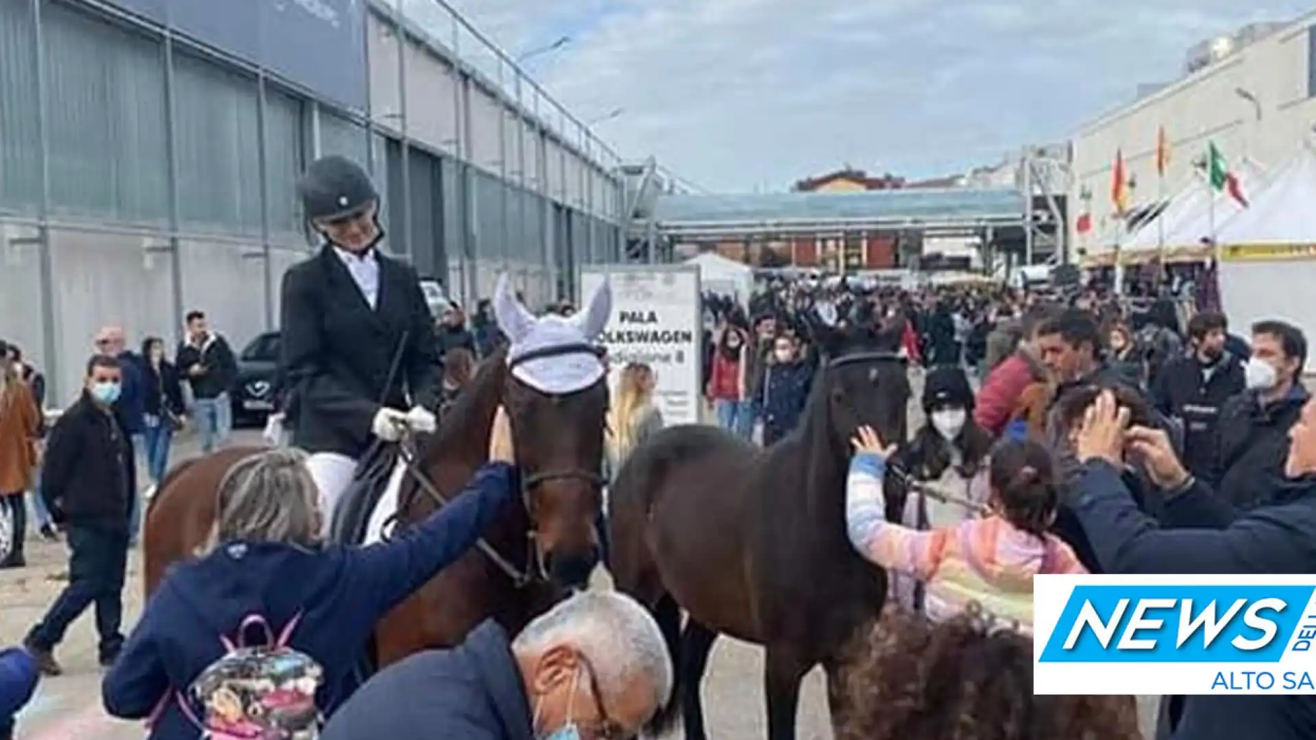 Il Cavallo pentro protagonista a Verona. Emozione fortissima per la scuderia “Il Ginepro” di Isernia. Matticoli: “Cavallo di pregio che merita rispetto ed attenzione”