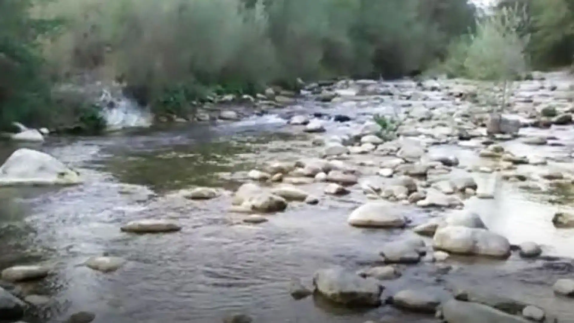 Fiume Volturno in sofferenza. Il video servizio curato dalla nostra redazione.