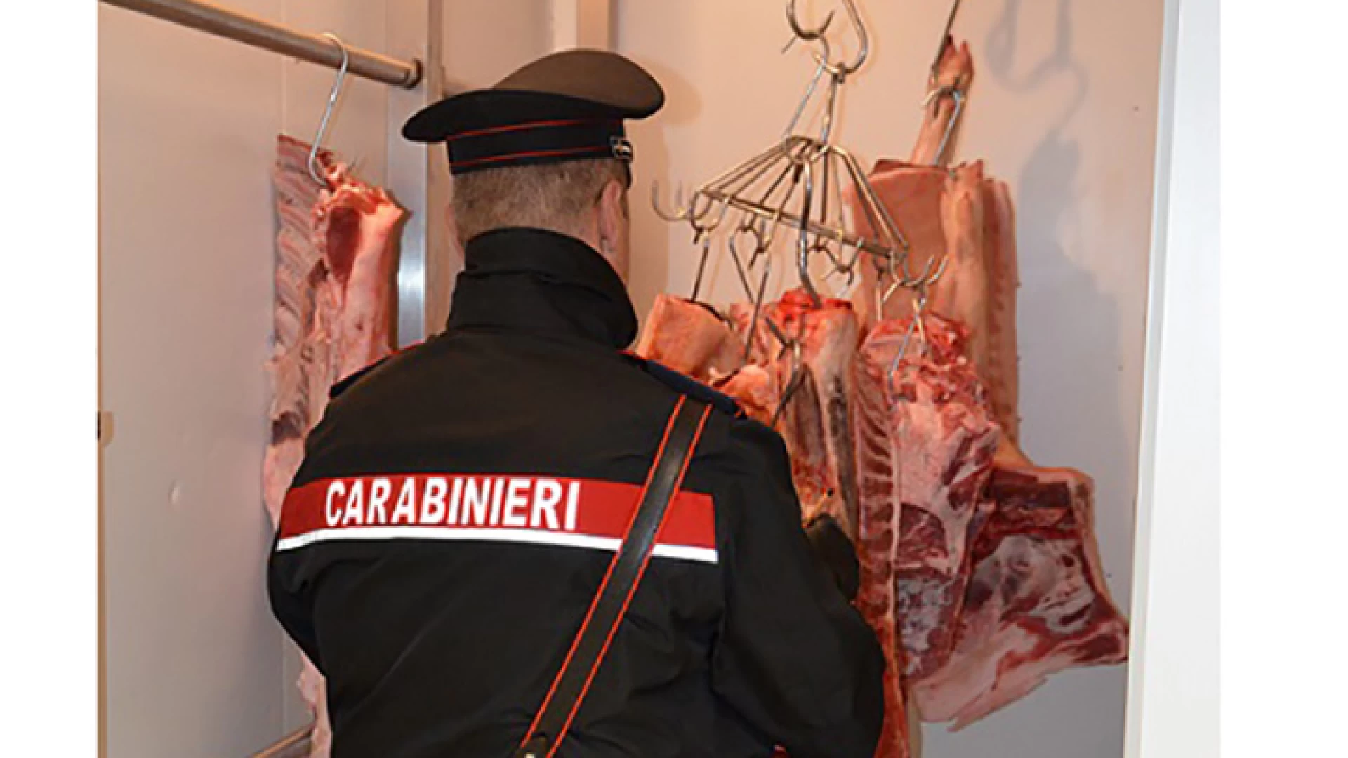 Isernia: Salute dei cittadini, scattano i controlli dei Carabinieri, sotto sequestro circa mezzo quintale di carne priva delle indicazioni sulla tracciabilità. Chiuso un deposito di alimenti per gravi carenze igienico-sanitarie.