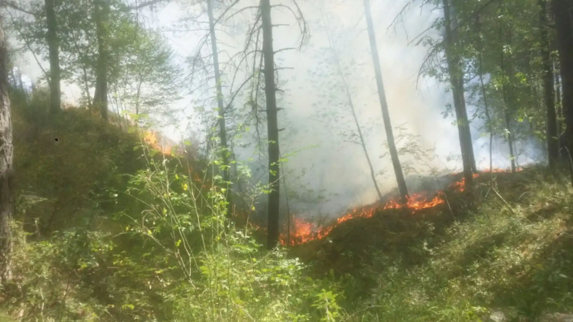 Colli a Volturno: la pineta riprende a bruciare. Situazione ancora difficile. Altri focolai sotto controllo da questa mattina. Utilizzati anche mezzi aerei.