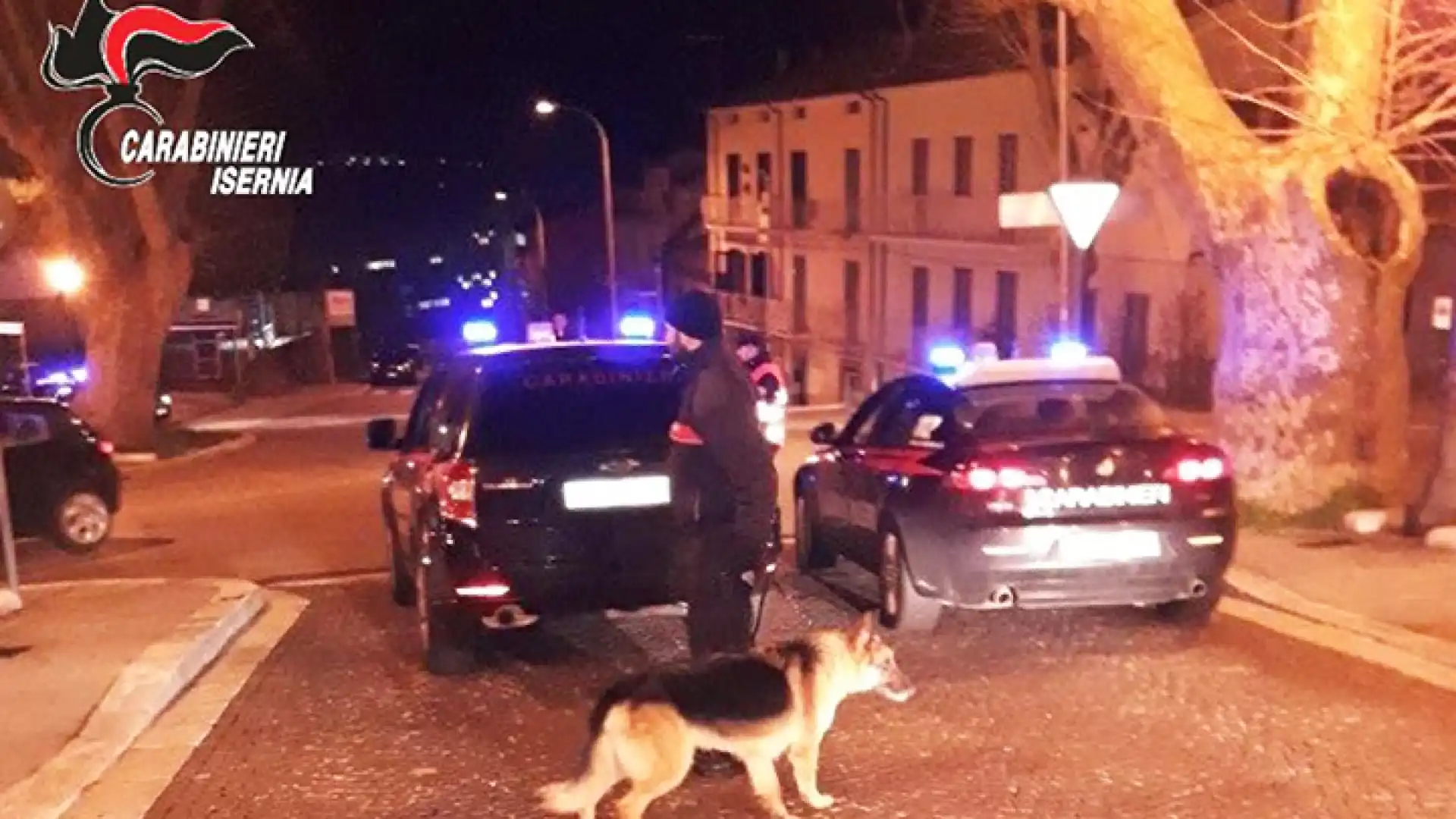 Isernia: controlli notturni dei Carabinieri per prevenire abuso di alcol e spaccio di droga. Al settaccio i locali notturni.