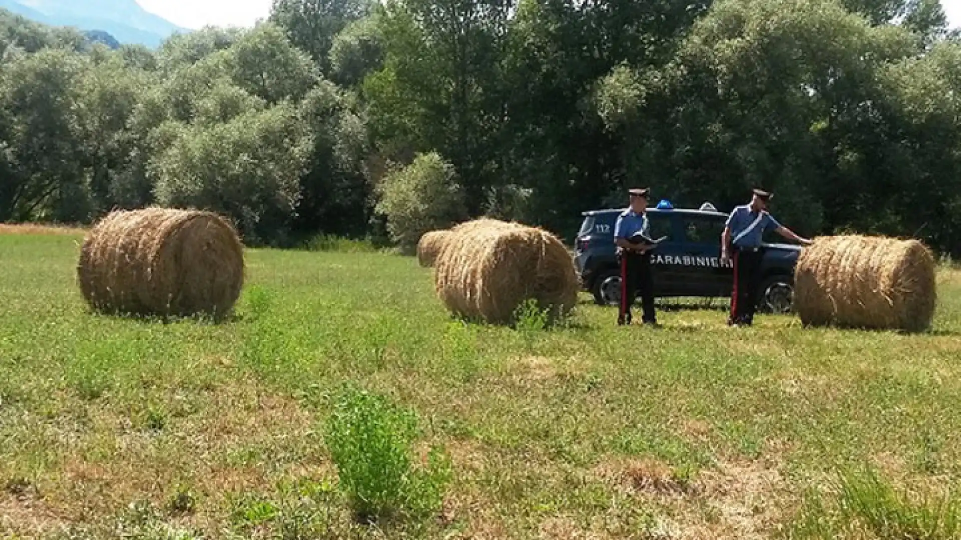 Castel San Vincenzo: Furto di ottanta quintali di fieno, 60enne denunciato dai Carabinieri. Recuperata l’intera refurtiva.