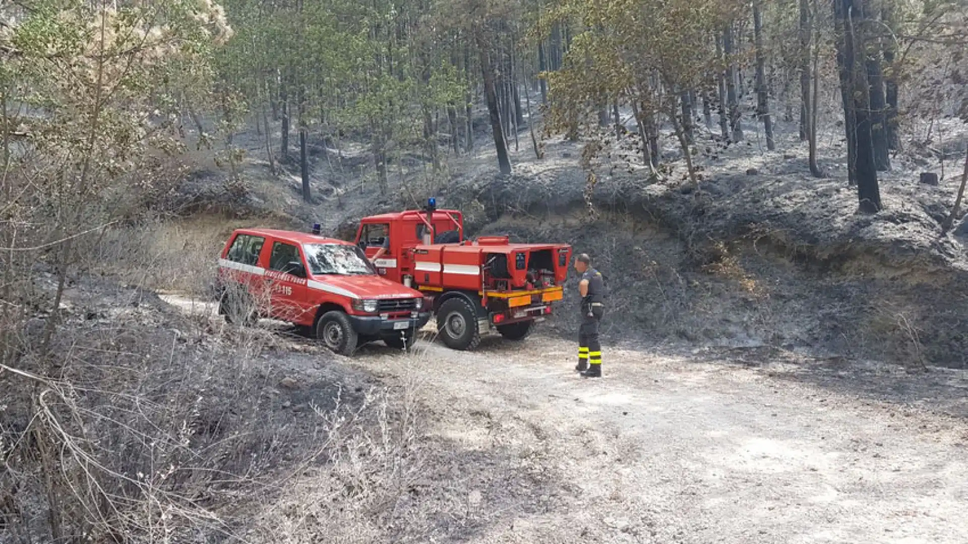 Emergenza incendi, bilancio drammatico per la Valle del Volturno. In fumo migliaia di ettari di vegetazione e piante di pregio.