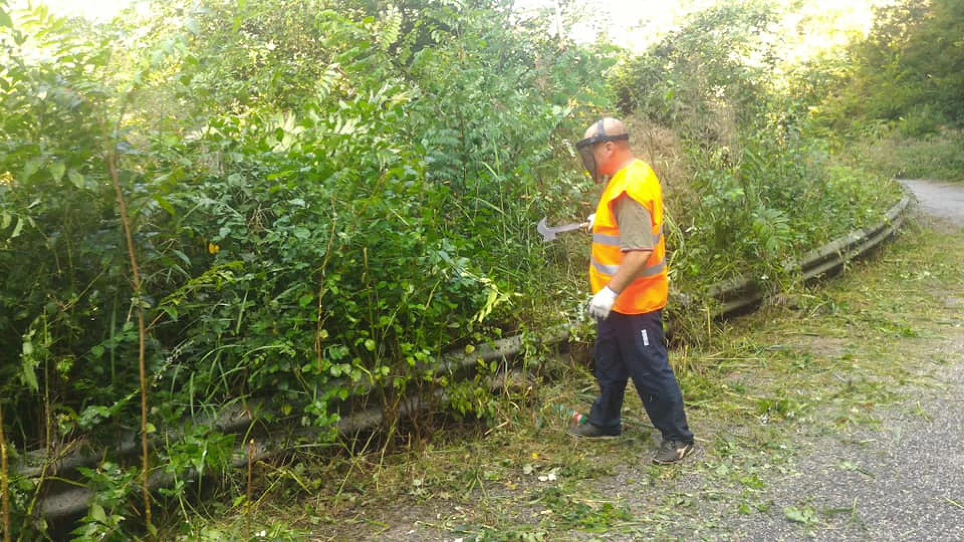 Scapoli: amministratori e volontari si prodigano per ripulire strade provinciali e comunali da erbacce infestanti ed arbusti.