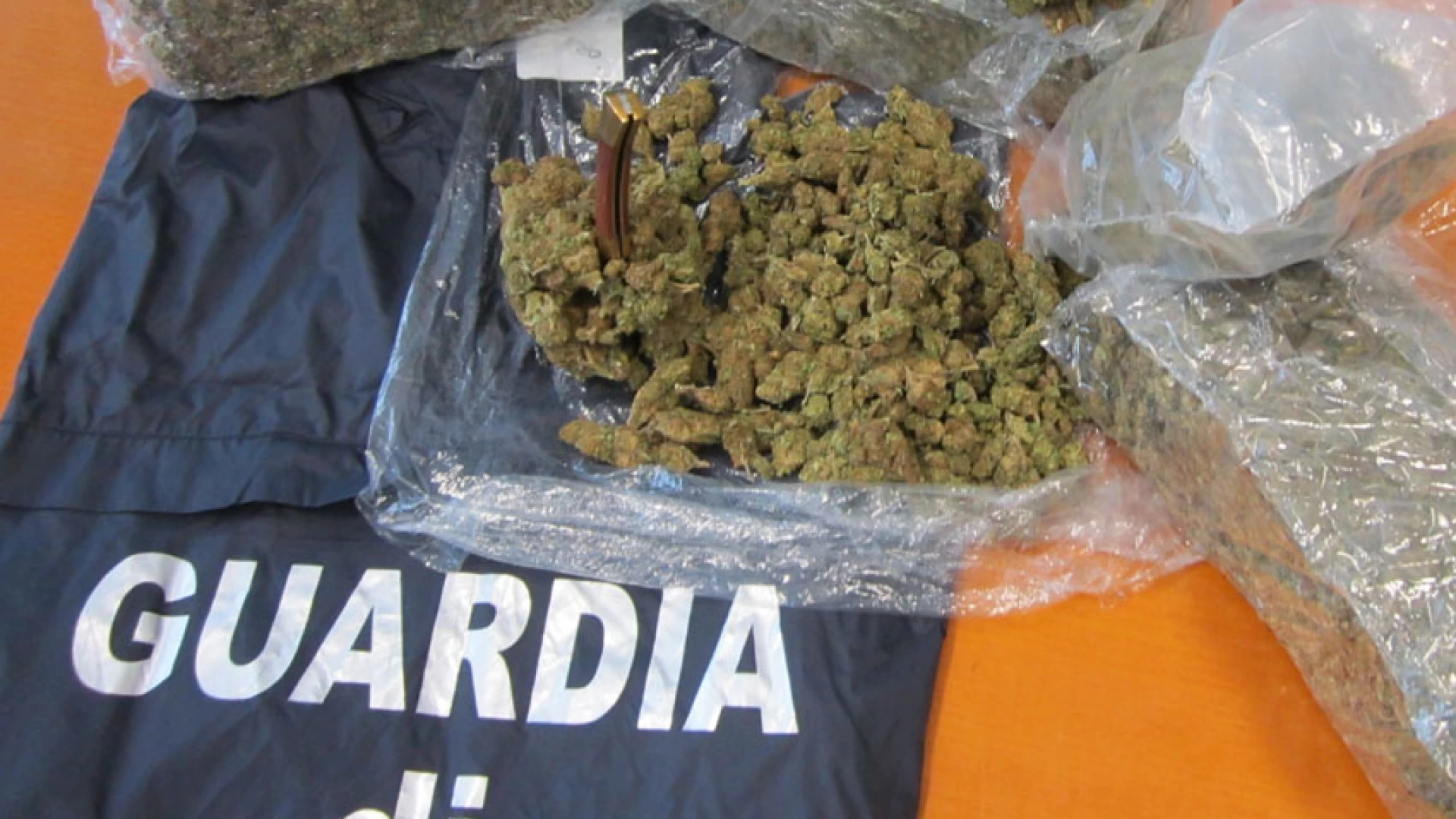Termoli: sequestrati nove kg di marijuana in una villa alle porte della città. Operazione messa a segna dalla Guardia di Finanza.