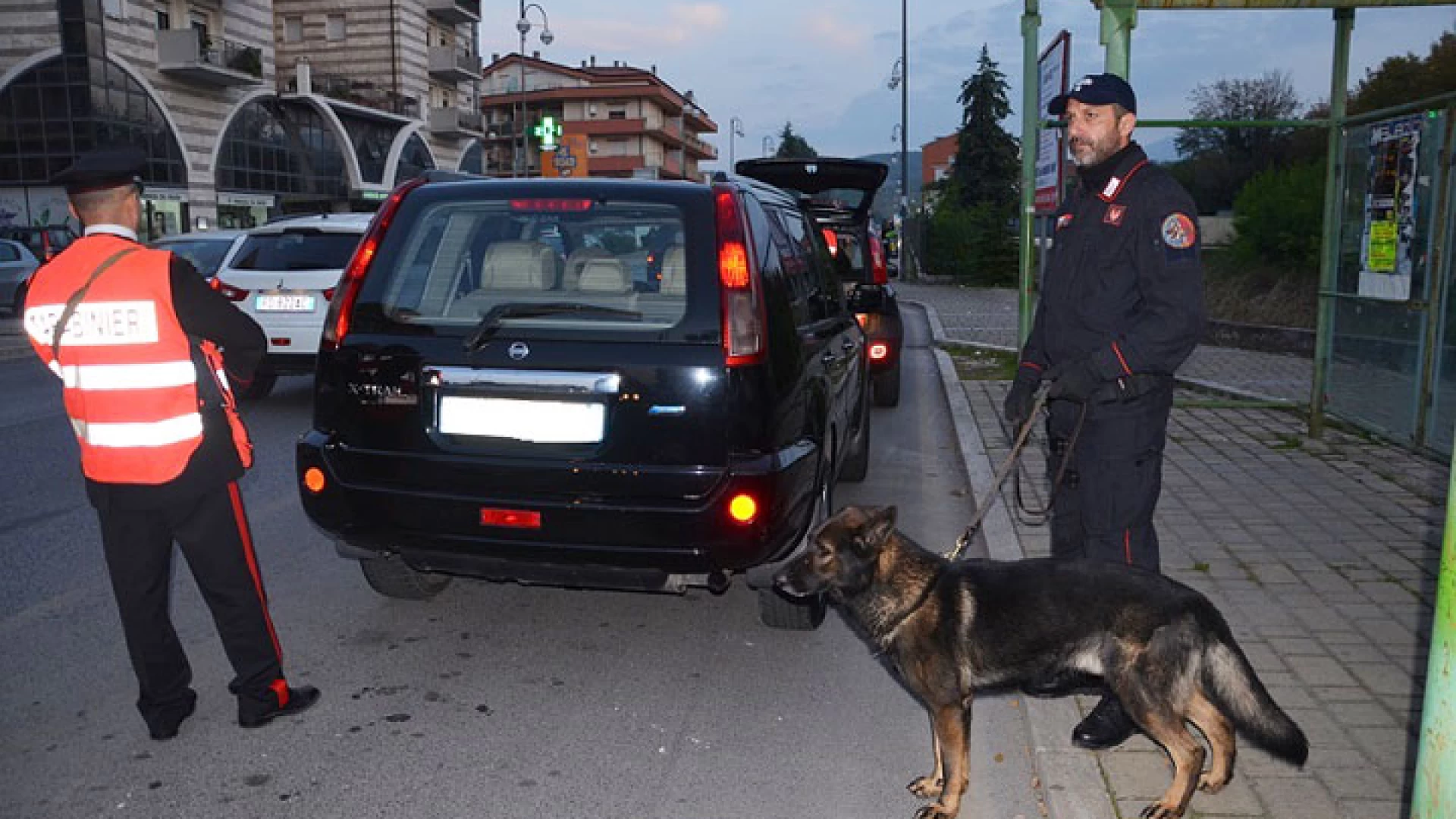 Sesto Campano – Pozzilli: controlli antidroga dei Carabinieri, raffica di denunce e sequestri.