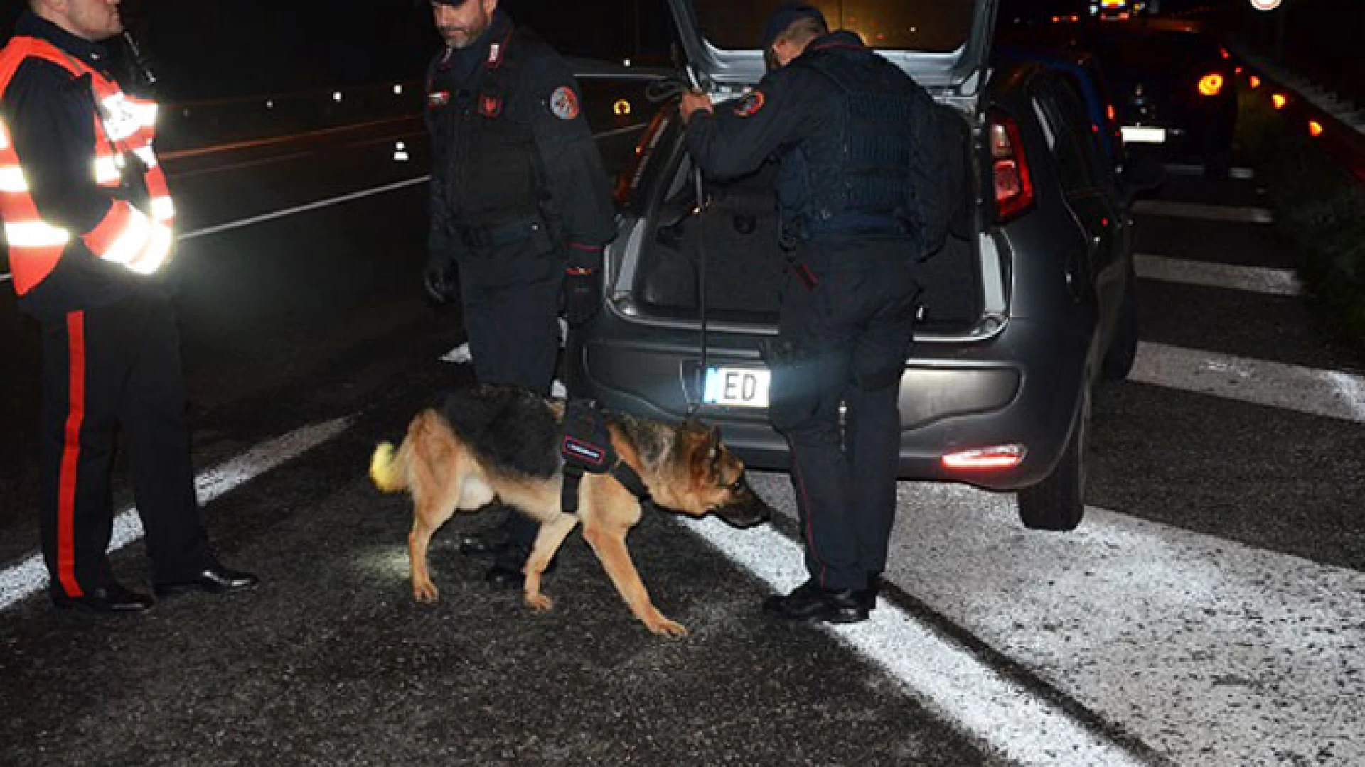 Venafro (IS):  Notte di Halloween, controlli dei Carabinieri, scattano denunce e sequestri. In azione anche unità cinofile antidroga.