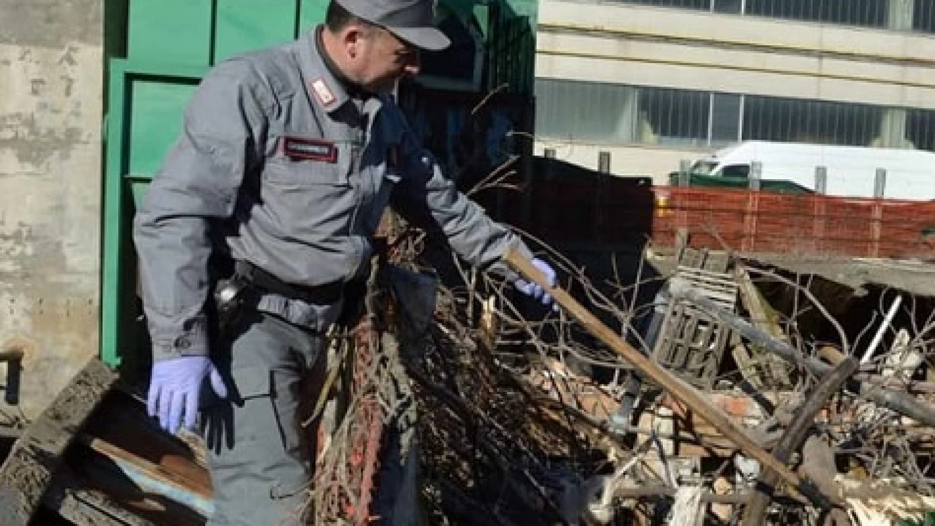 Isernia. Controlli dei Carabinieri sui luoghi di lavoro: denunciato il titolare di un’attività commerciale.