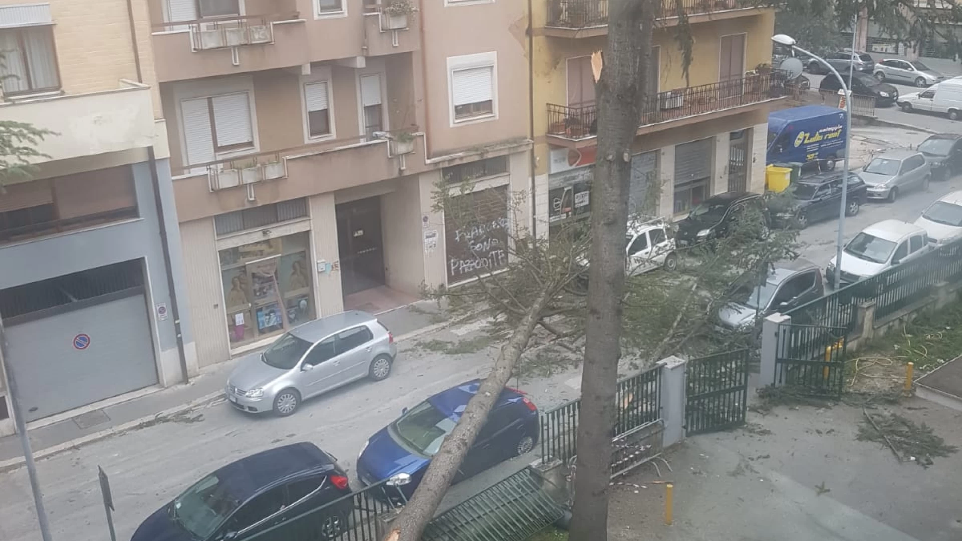 Isernia : attimi di paura all'esterno dell'Istituto d'Arte Manuppella. Albero sradicato dal vento. Intervengono i Vigili del Fuoco.