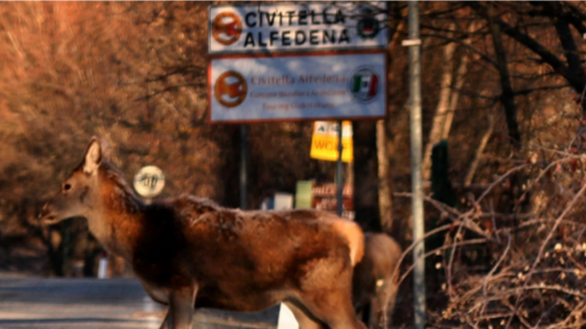 Civitella Alfedena: sottoscritto il protocollo per dare il via alla mobilità elettrica.