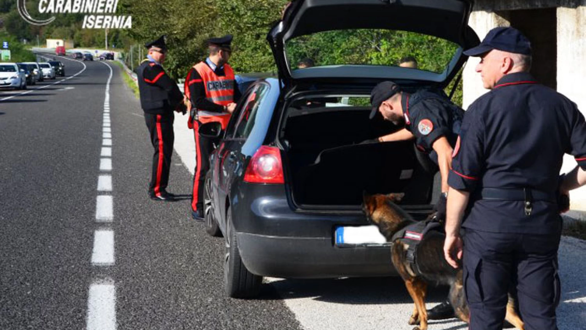 Isernia: Controlli antidroga dei Carabinieri presso Istituti Scolastici e altri luoghi frequentati dai più giovani, due studenti trovati in possesso di marijuana.