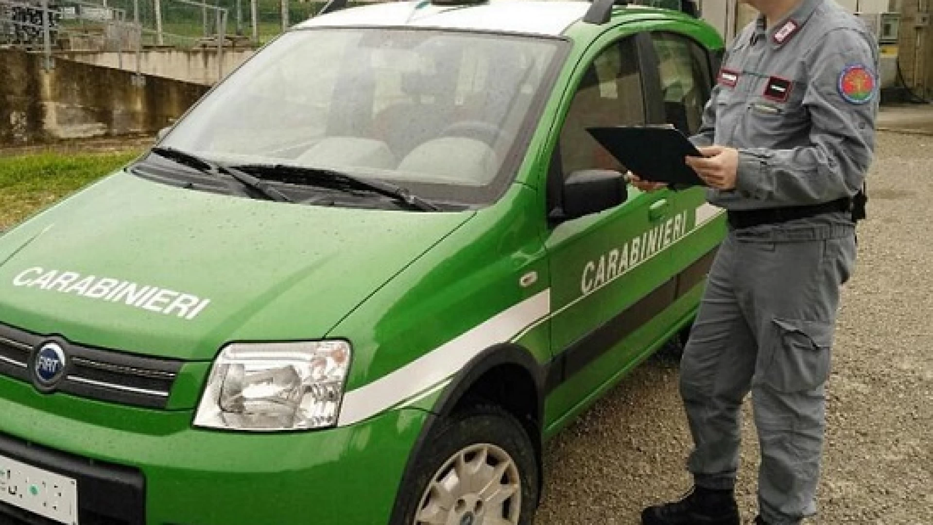 Isernia: Controlli di polizia veterinaria da parte dei Carabinieri Forestali. Scattano sanzioni.