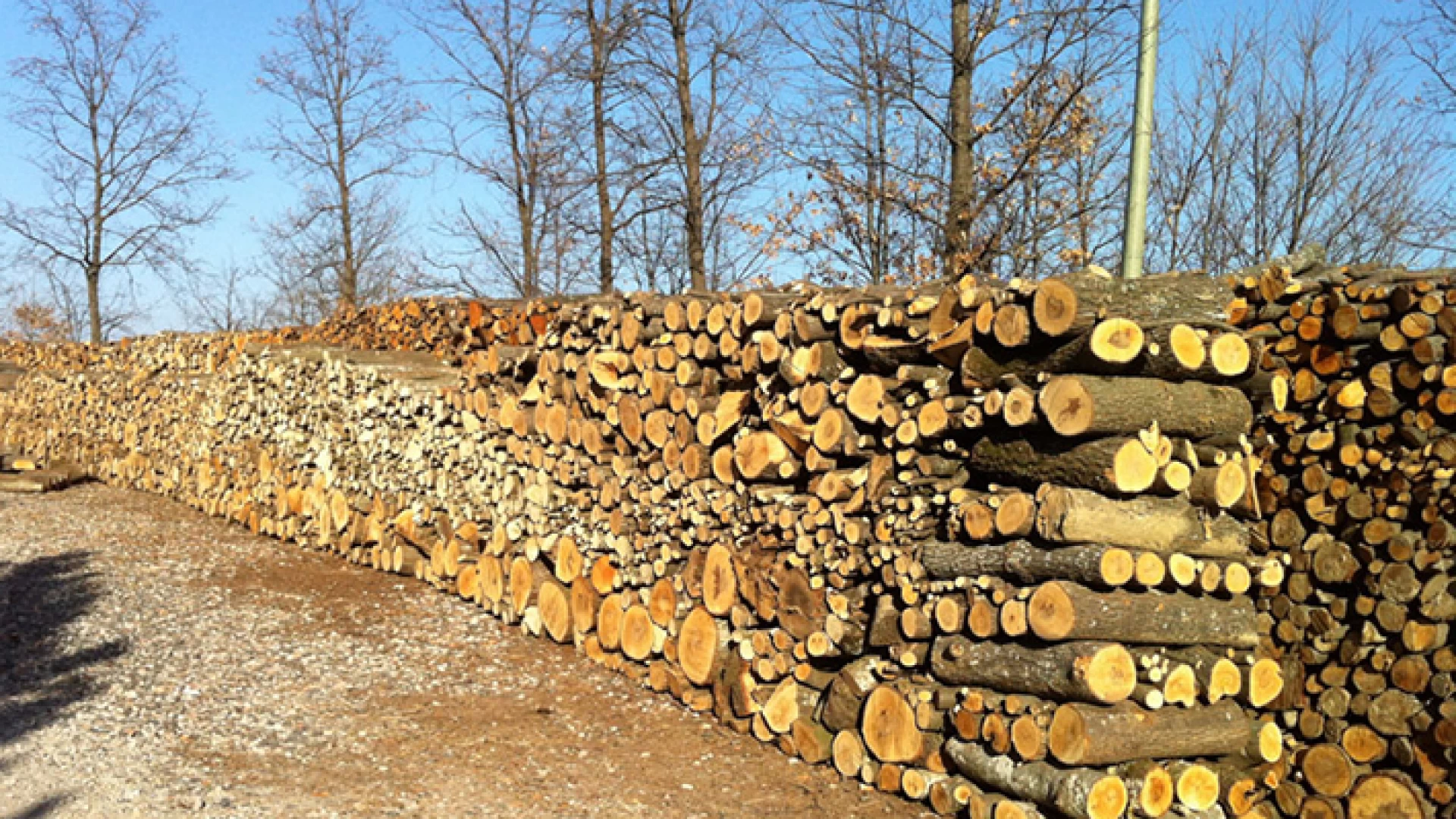 Colli a Volturno: il sindaco Incollingo emana un avviso per la richiesta di materiale legnoso ad uso civico.