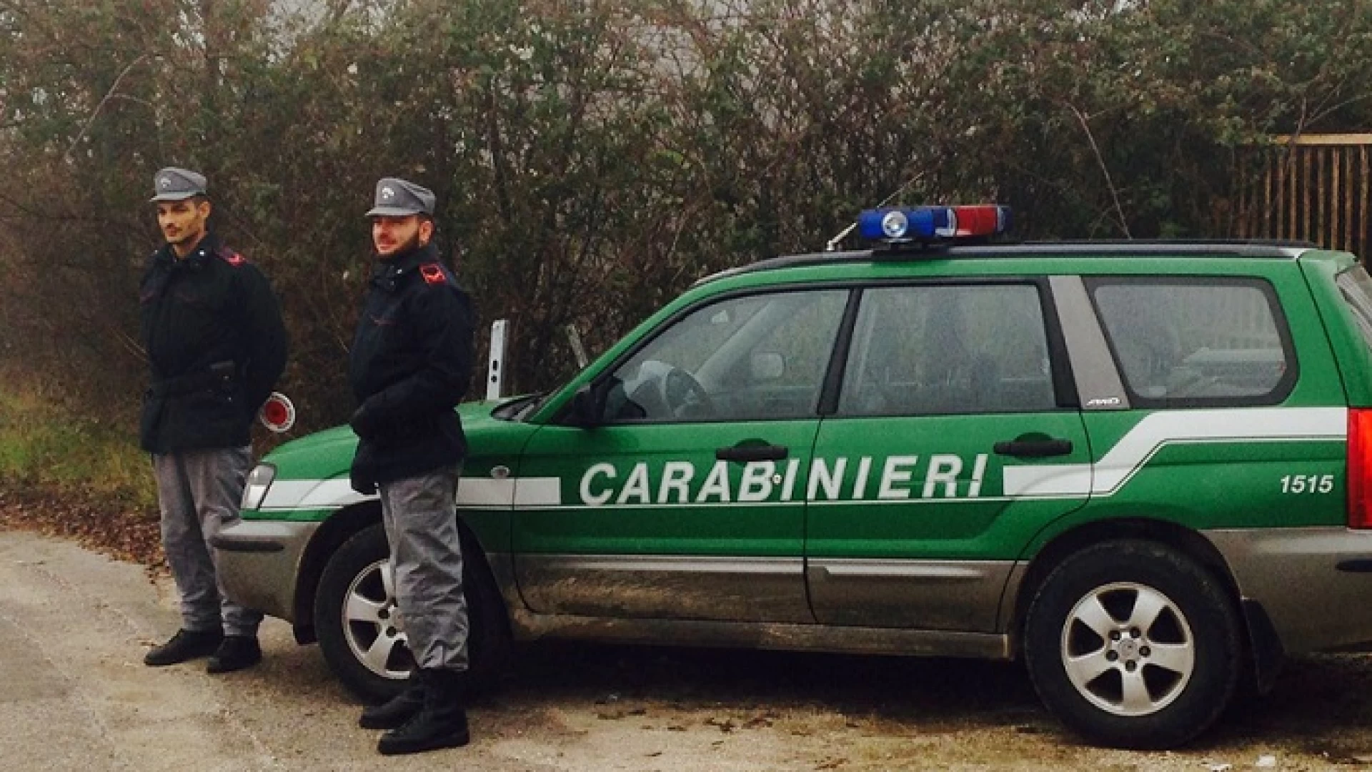 Forlì del Sannio: i Carabinieri Forestali denunciano un isernino per invasione di terreni e pascolo abusivo