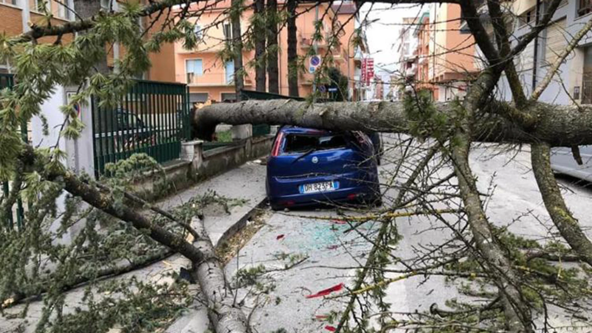 Isernia: alberi caduti in via Berta, la Provincia chiede la chiusura del tratto stradale al comune. CI sarebbero altri arbusti pericolanti.