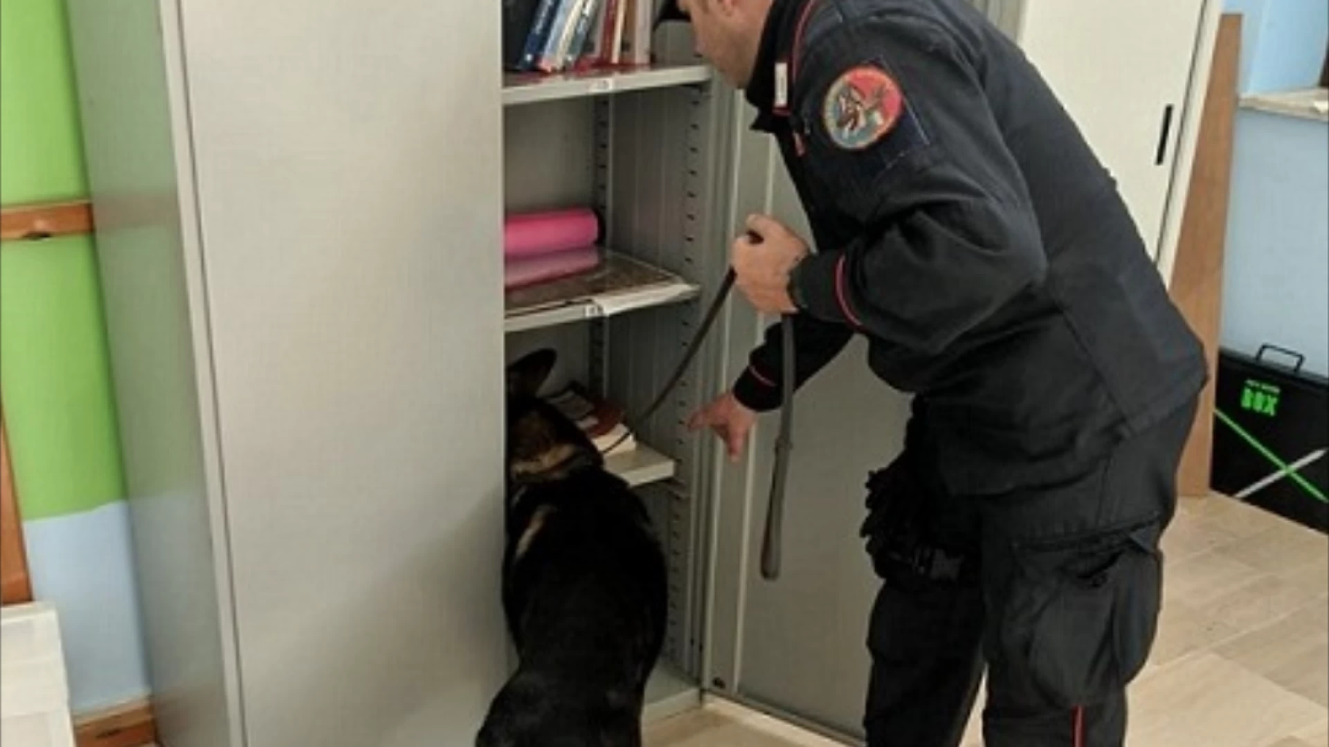 Agnone (IS): Progetto scuole sicure. Controlli straordinari dei Carabinieri.  Impiegata l’unità cinofila antidroga del Nucleo di Chieti.