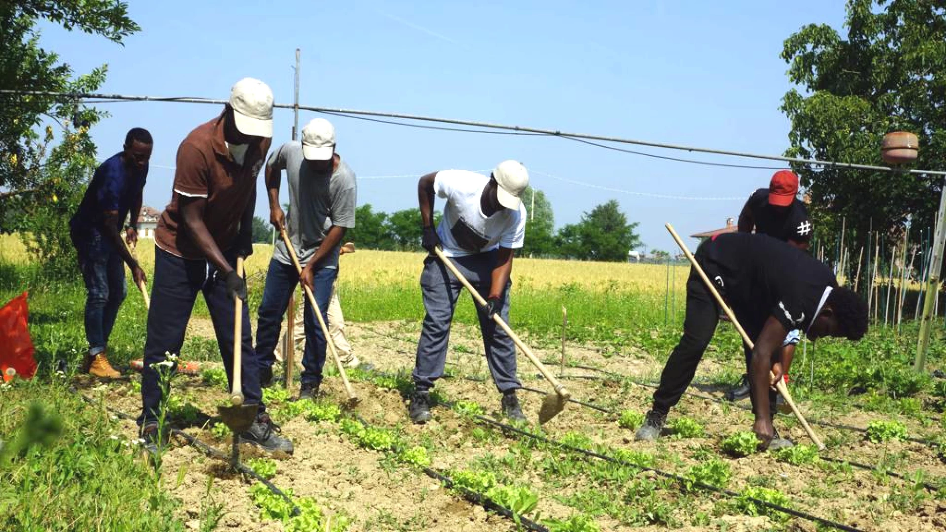 Progetto “Tutti in Campo”. Domani ad Isernia l’inaugurazione dell’iniziativa rivolta ai migranti che vedrà la nascita di “Orti solidali”.