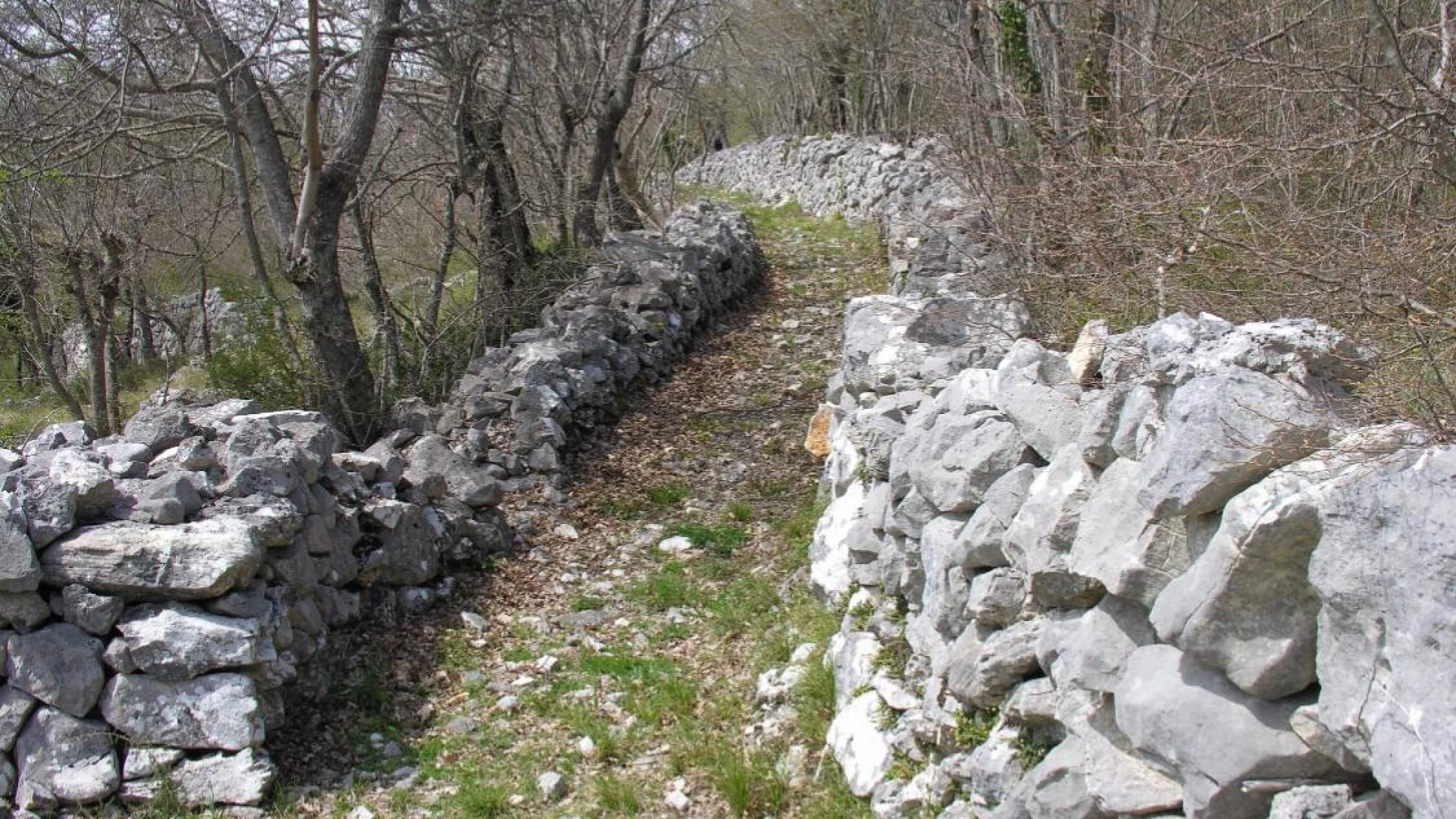 Filignano: il consigliere comunale Daniele Di Meo lancia il progetto “Camminando lentamente alla scoperta della natura”.